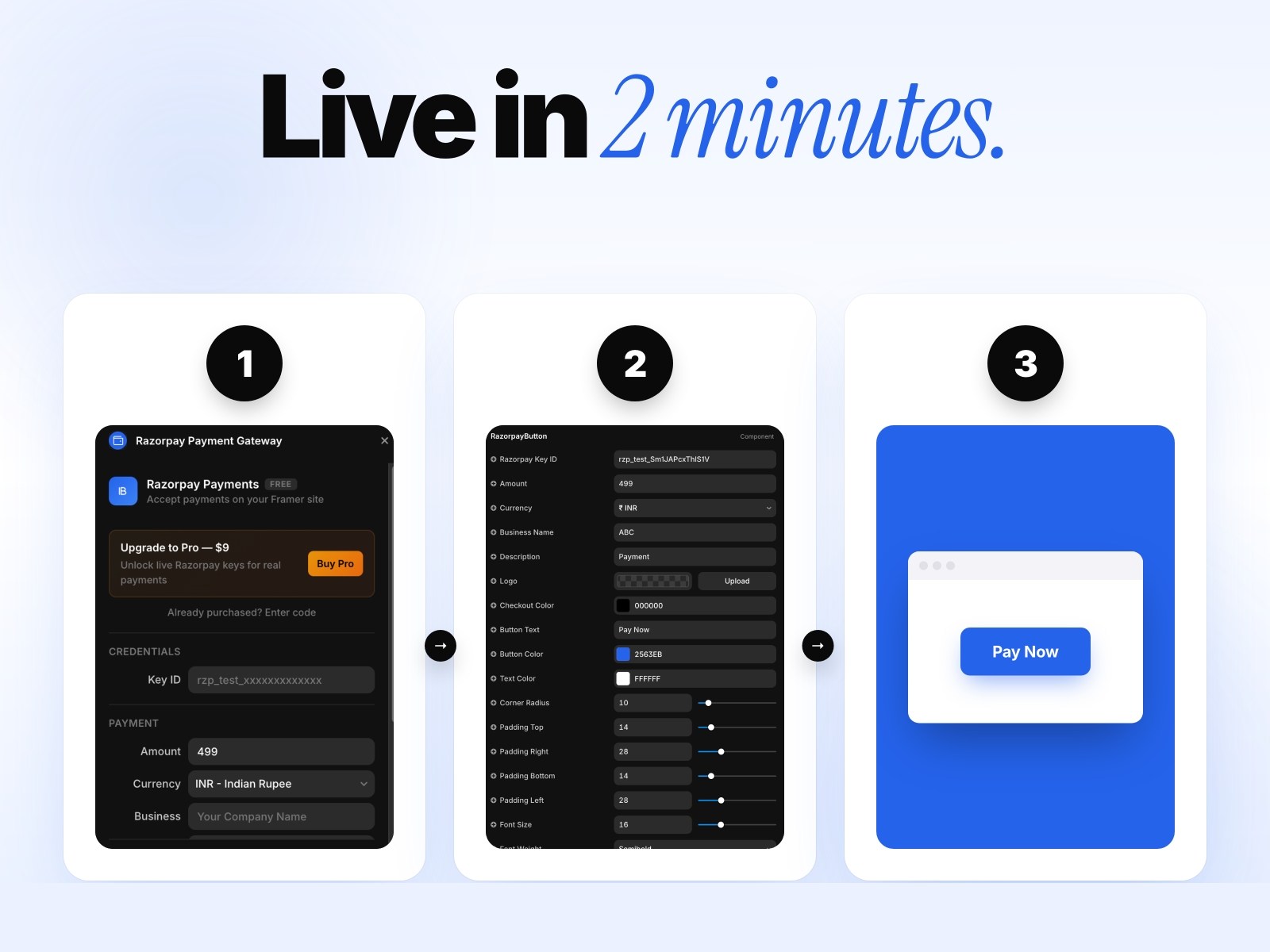 Thumbnail 2 for Razorpay Payment Gateway, a Framer Marketplace plugin by Khushal Dewra (KDX Studios).