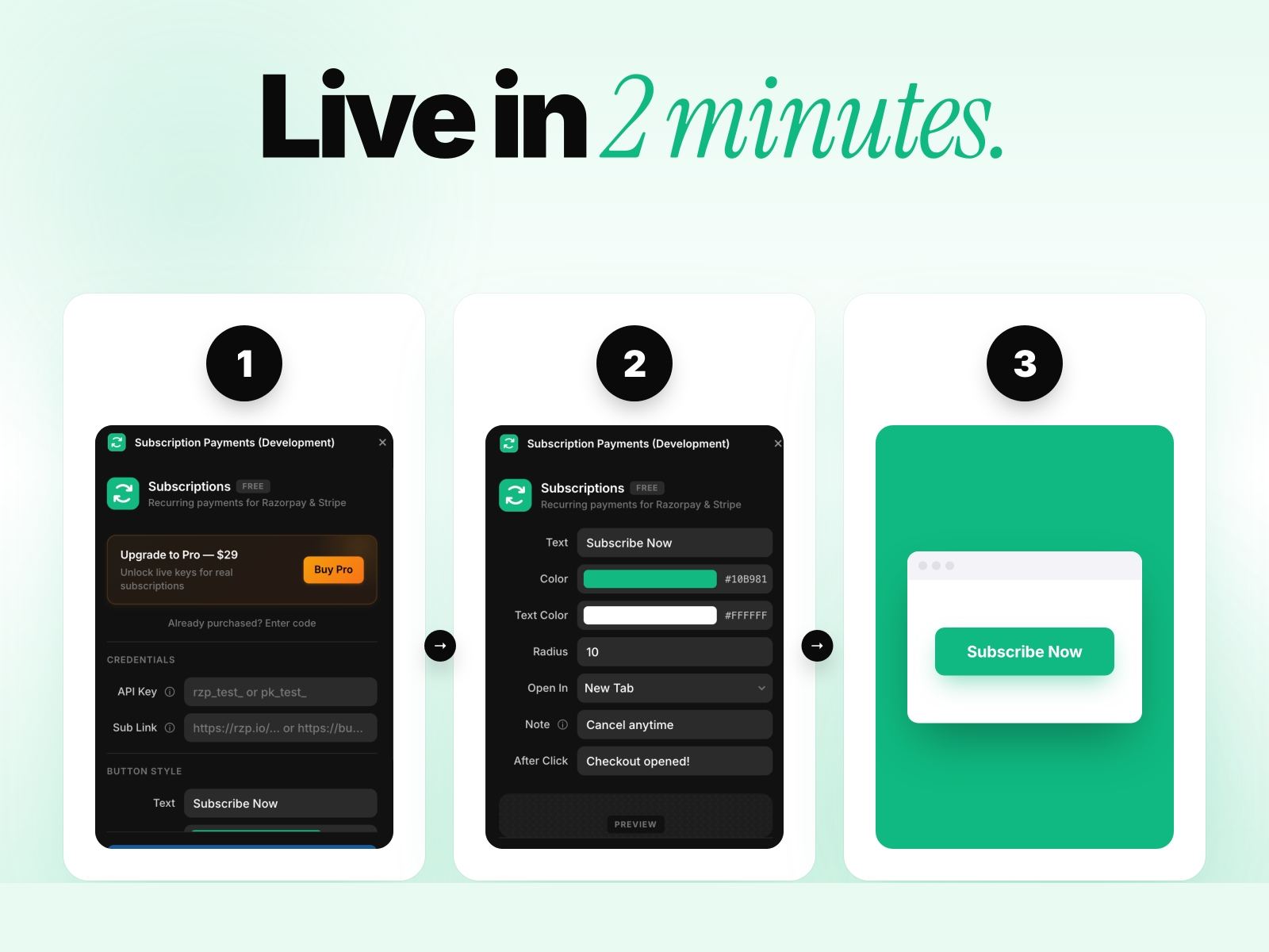 Screenshot 3 for Subscription Payments, a Framer Marketplace plugin by Khushal Dewra (KDX Studios).