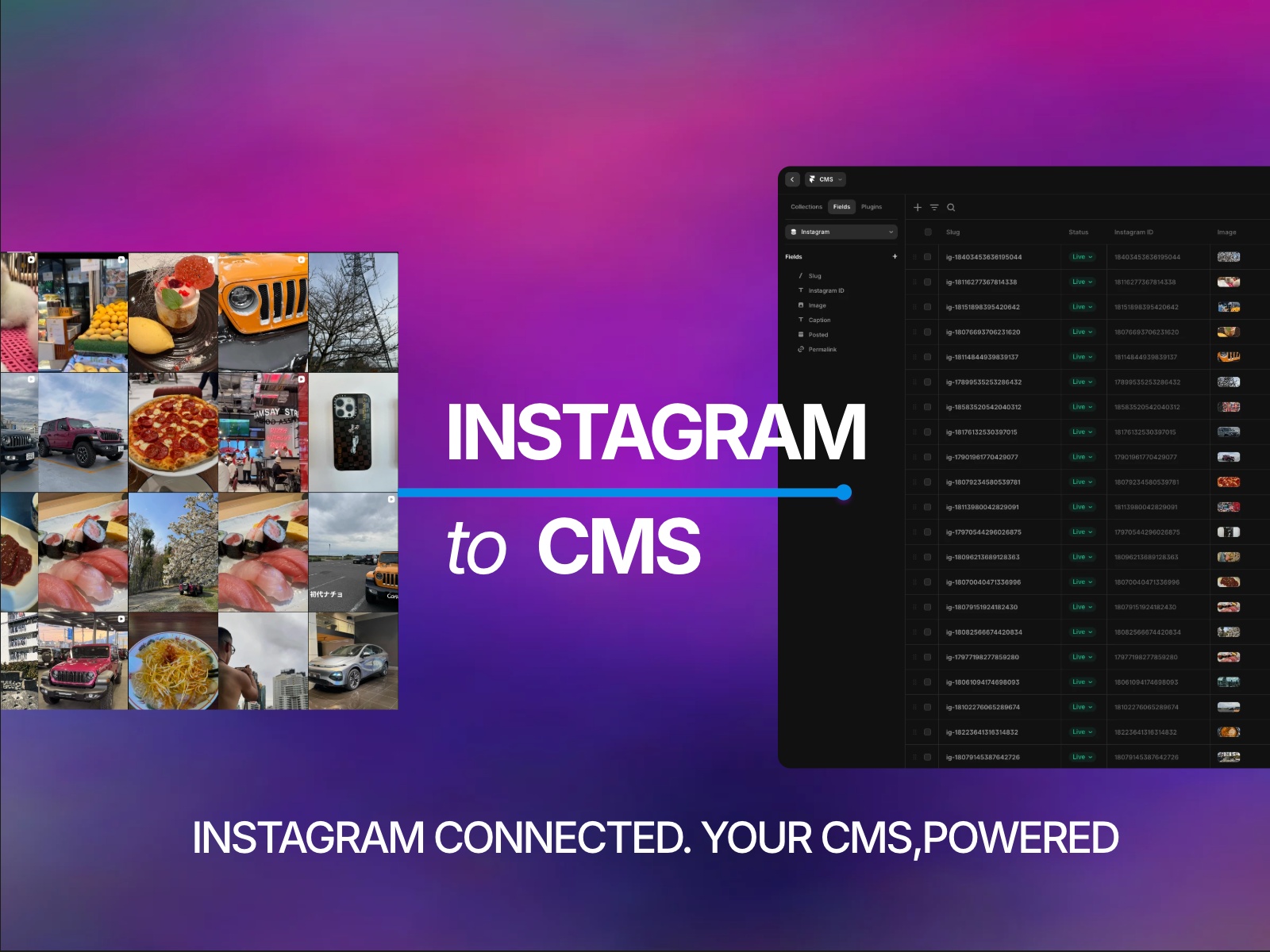 Screenshot 1 for Instagram to CMS, a Framer Marketplace plugin by Pitaly 8.
