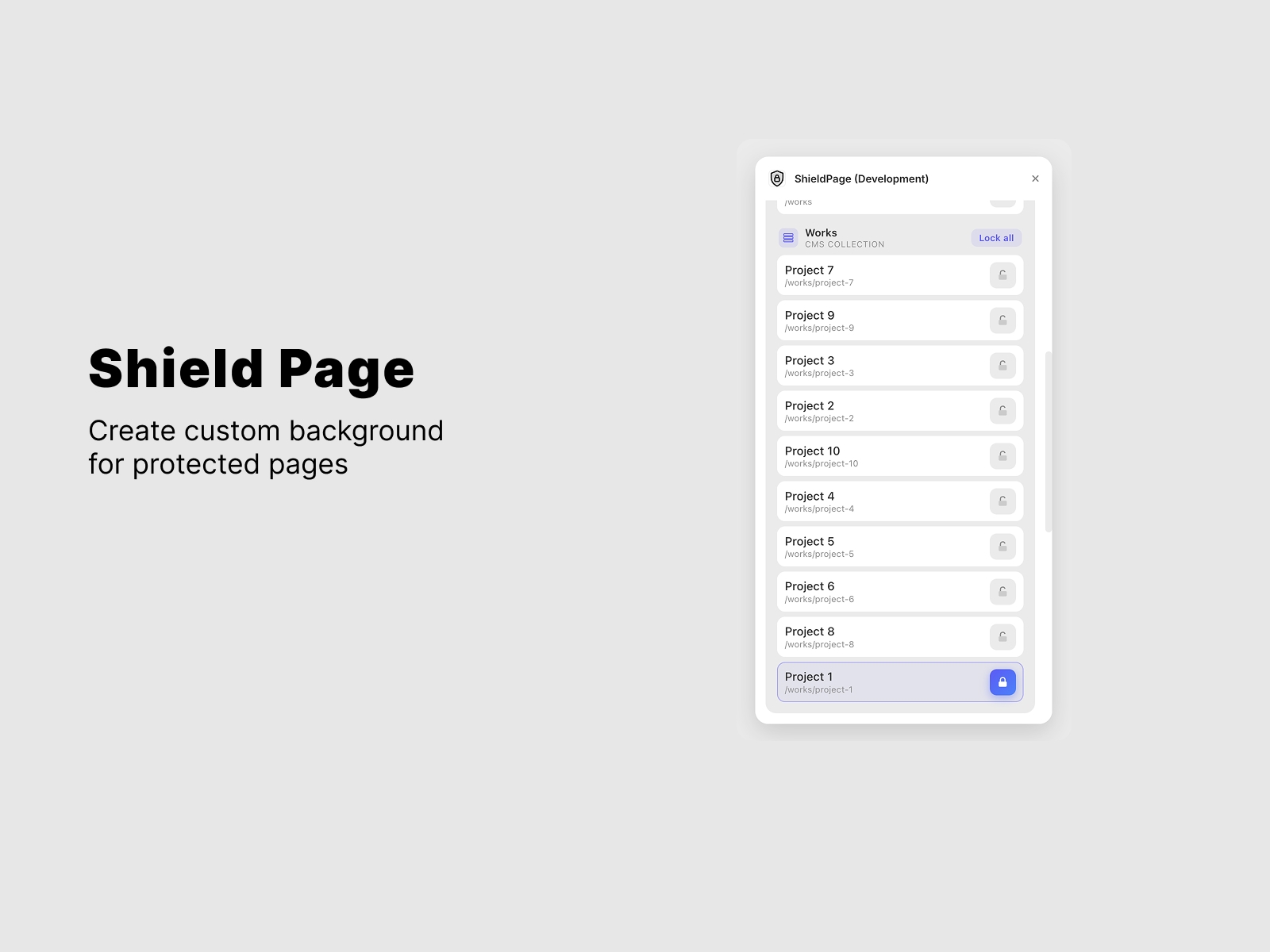 Screenshot 2 for ShieldPage, a Framer Marketplace plugin by Vasile Tiplea.