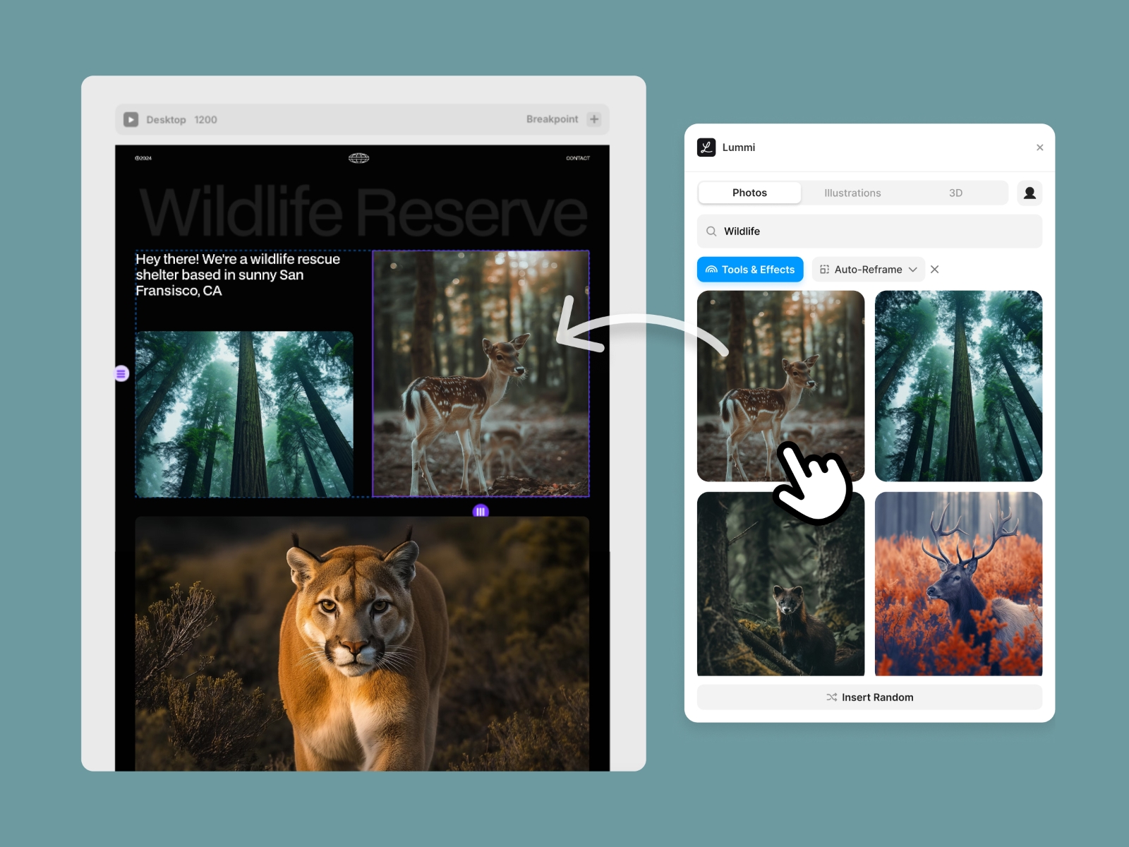 Screenshot 4 for Lummi, a Framer Marketplace plugin by Pablo Stanley.