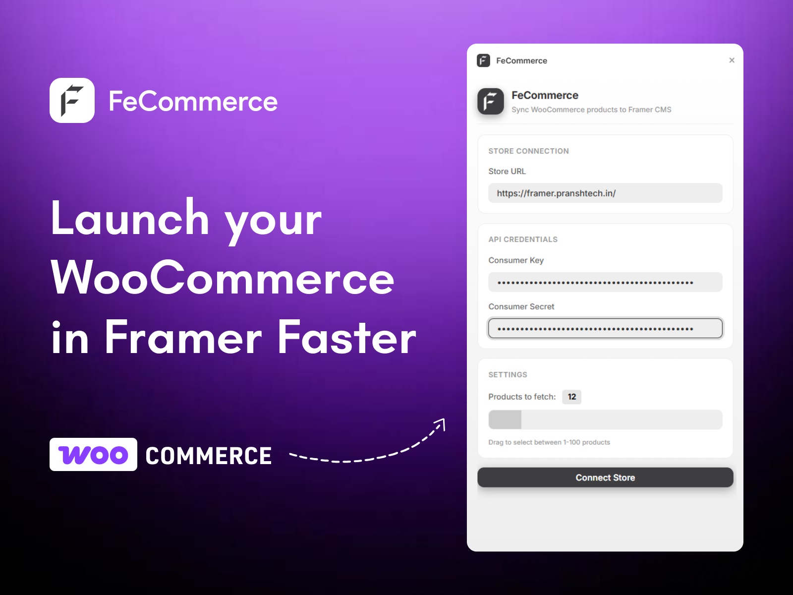 Thumbnail 1 for FeCommerce, a Framer Marketplace plugin by FeCommerce.