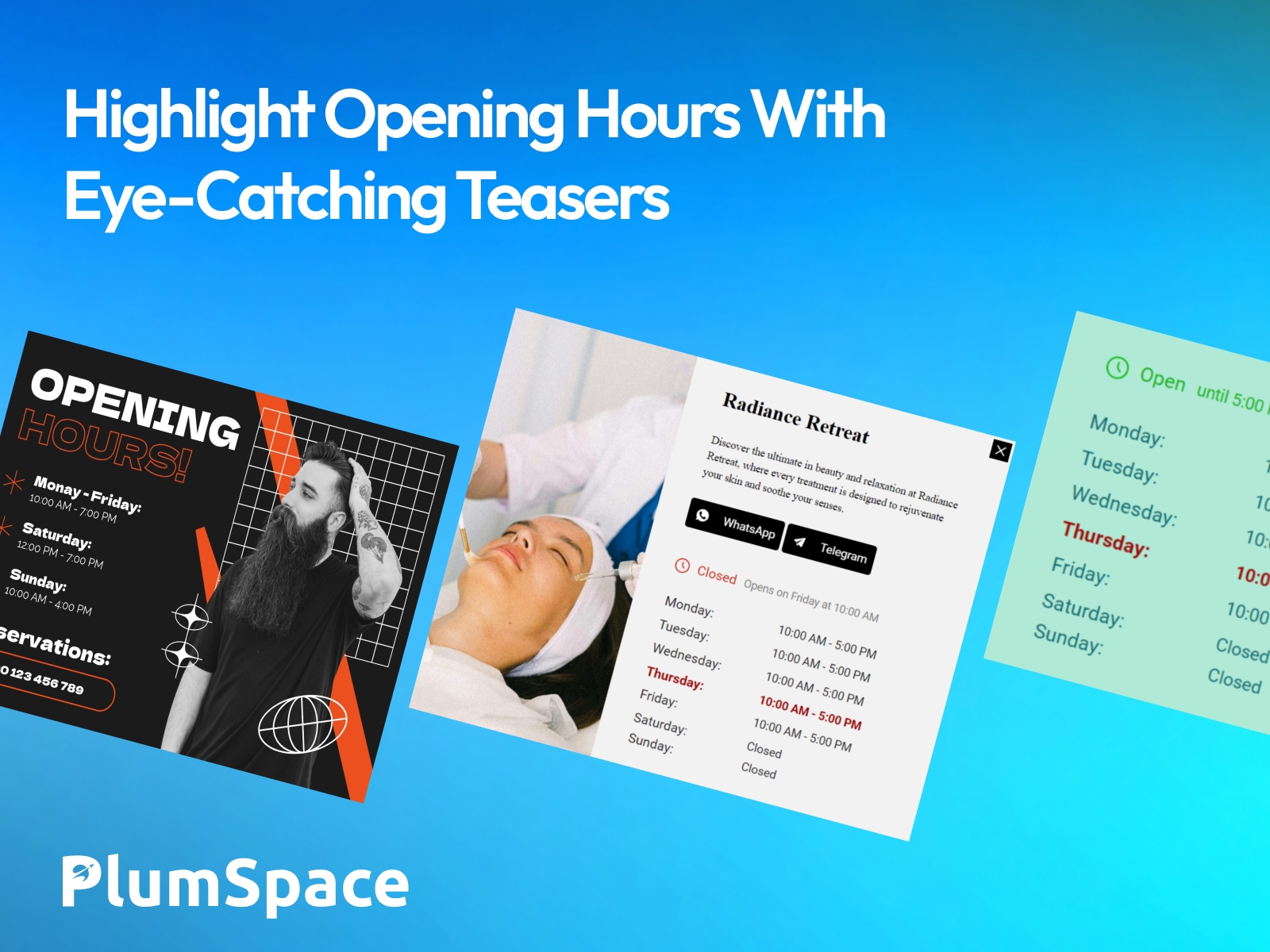 PlumSpace: Business Opening Hours
