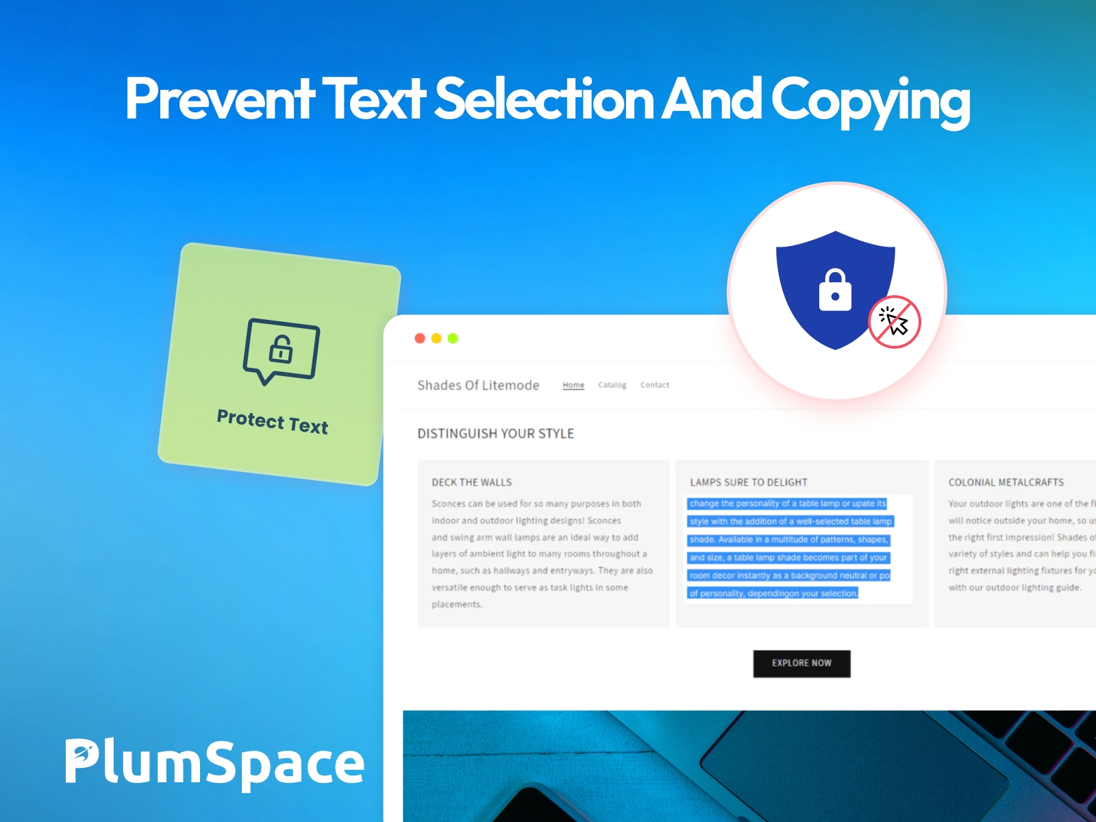 Screenshot 3 for PlumSpace: Content Protection, a Framer Marketplace plugin by PlumSpace.
