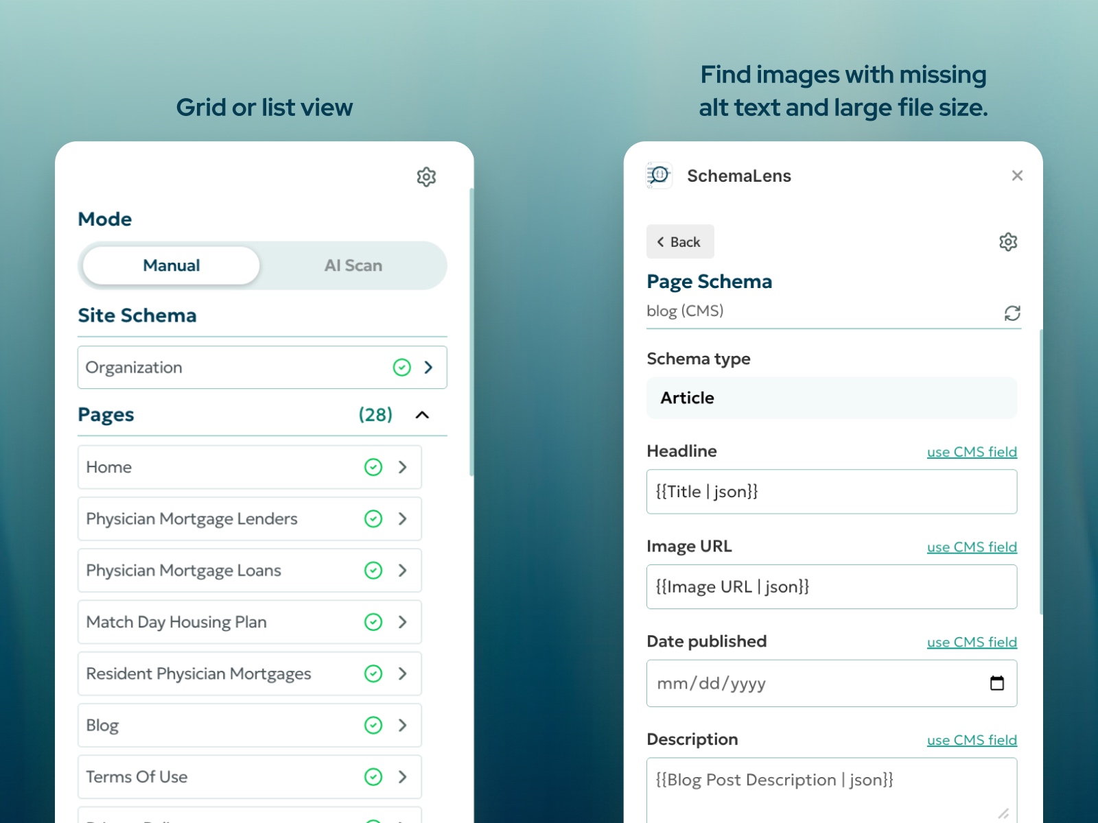 Screenshot 2 for SchemaLens, a Framer Marketplace plugin by Kevin James.