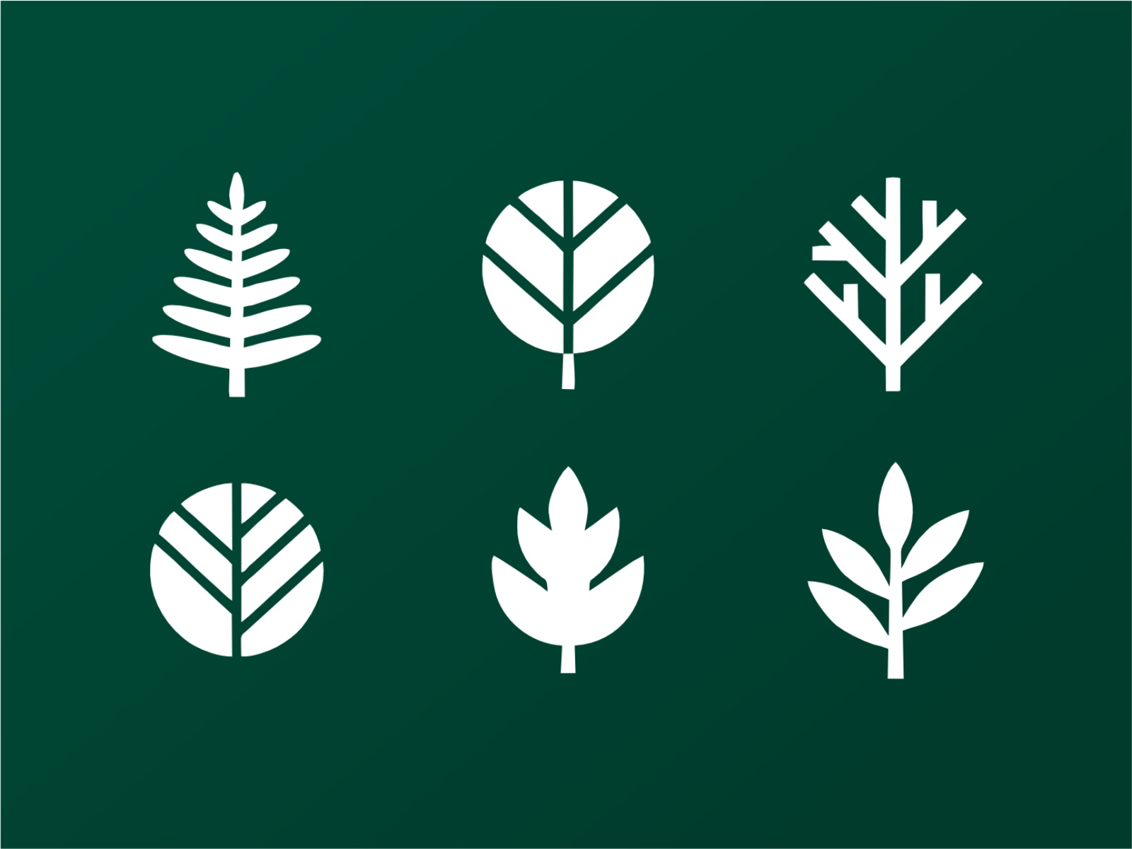 Thumbnail 2 for Leaf Shapes, a Framer Marketplace template by Gema Syihab.