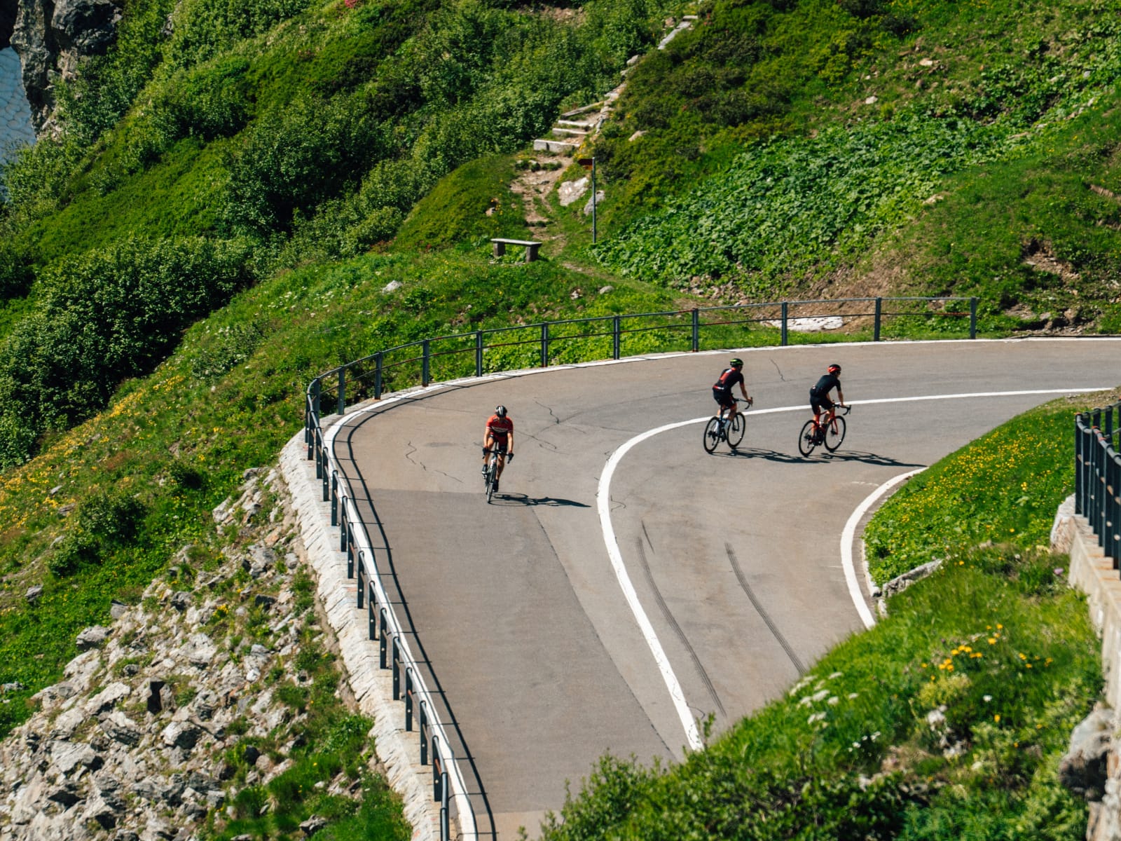 swisscycologytours.com