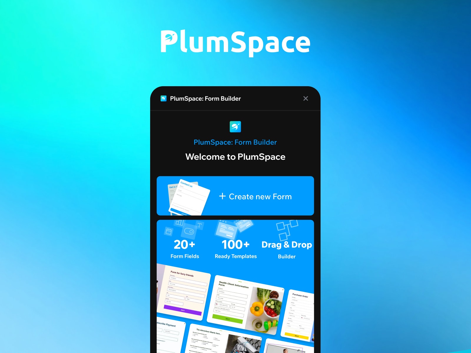PlumSpace: Form Builder
