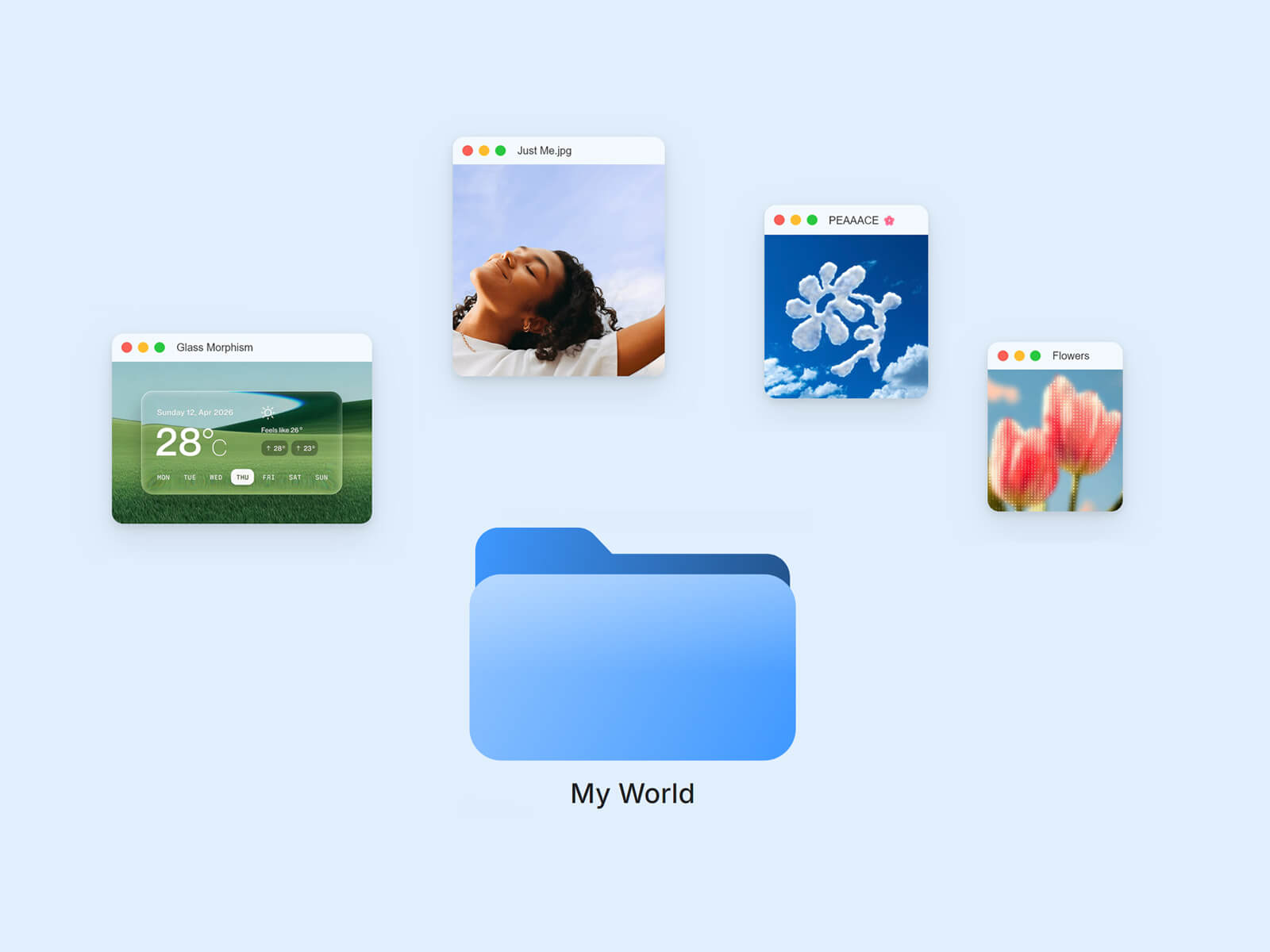 Media Folder