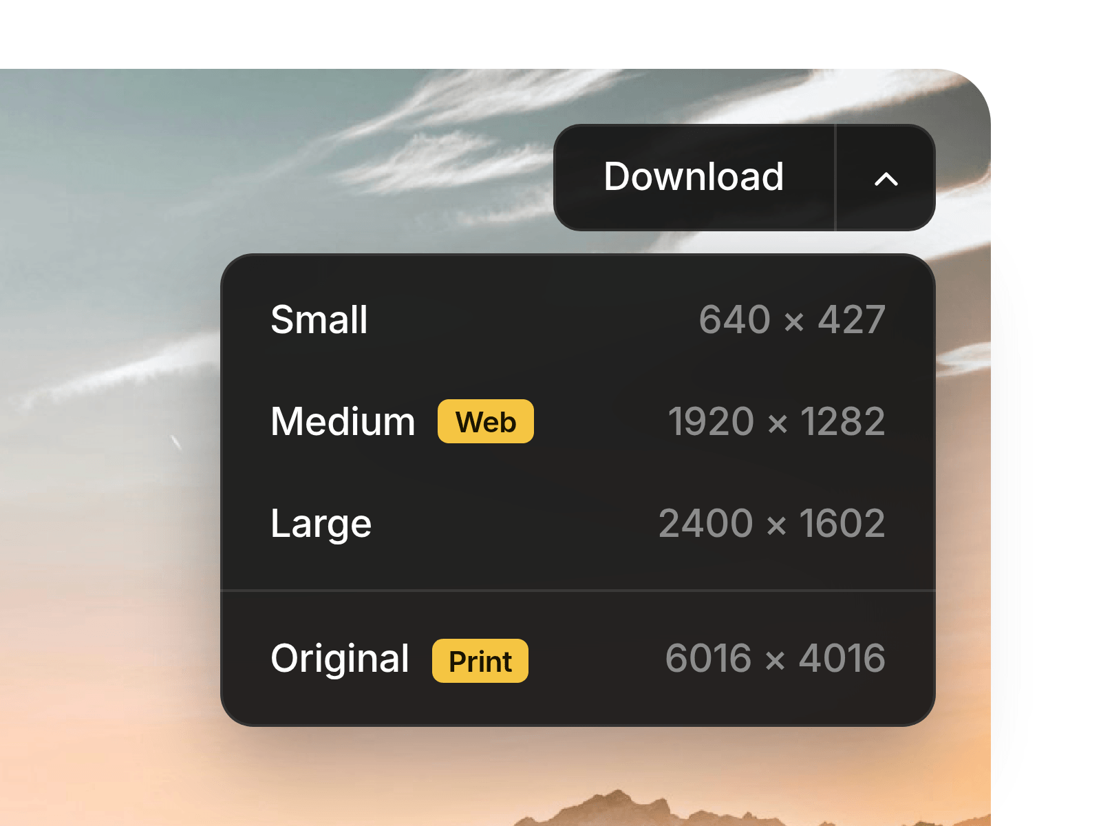 Download Picker