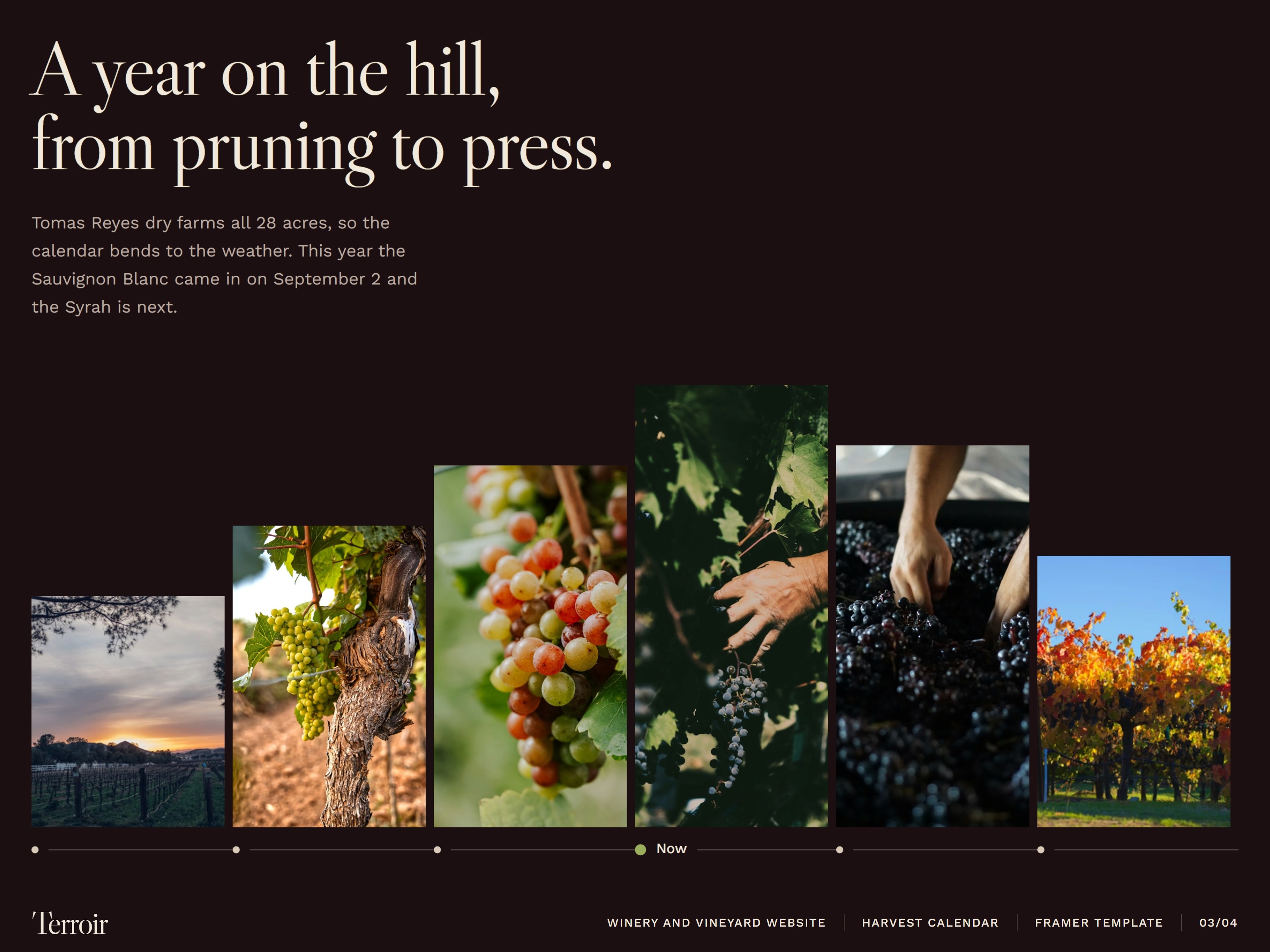 Terroir Winery