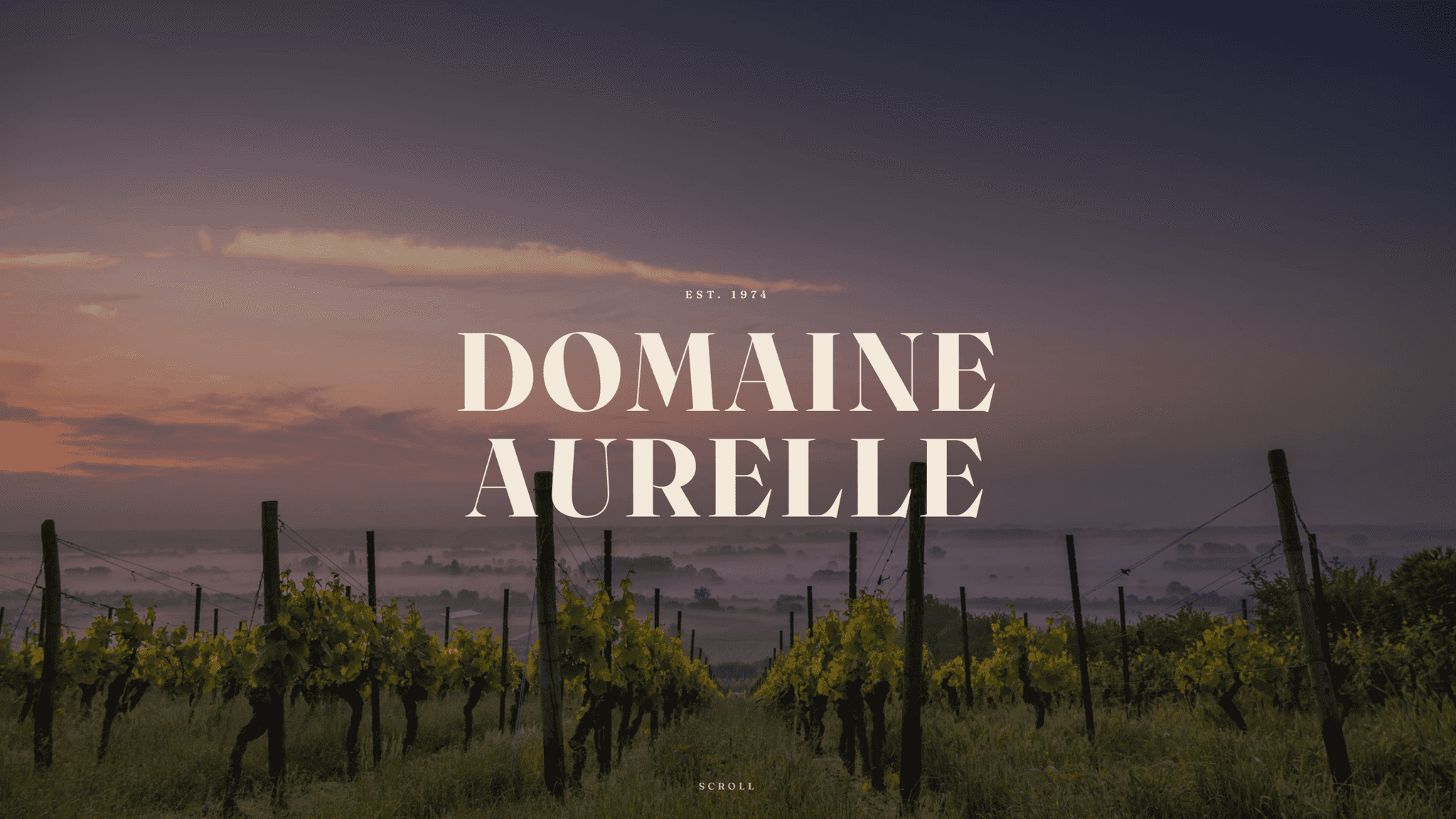Vignoble