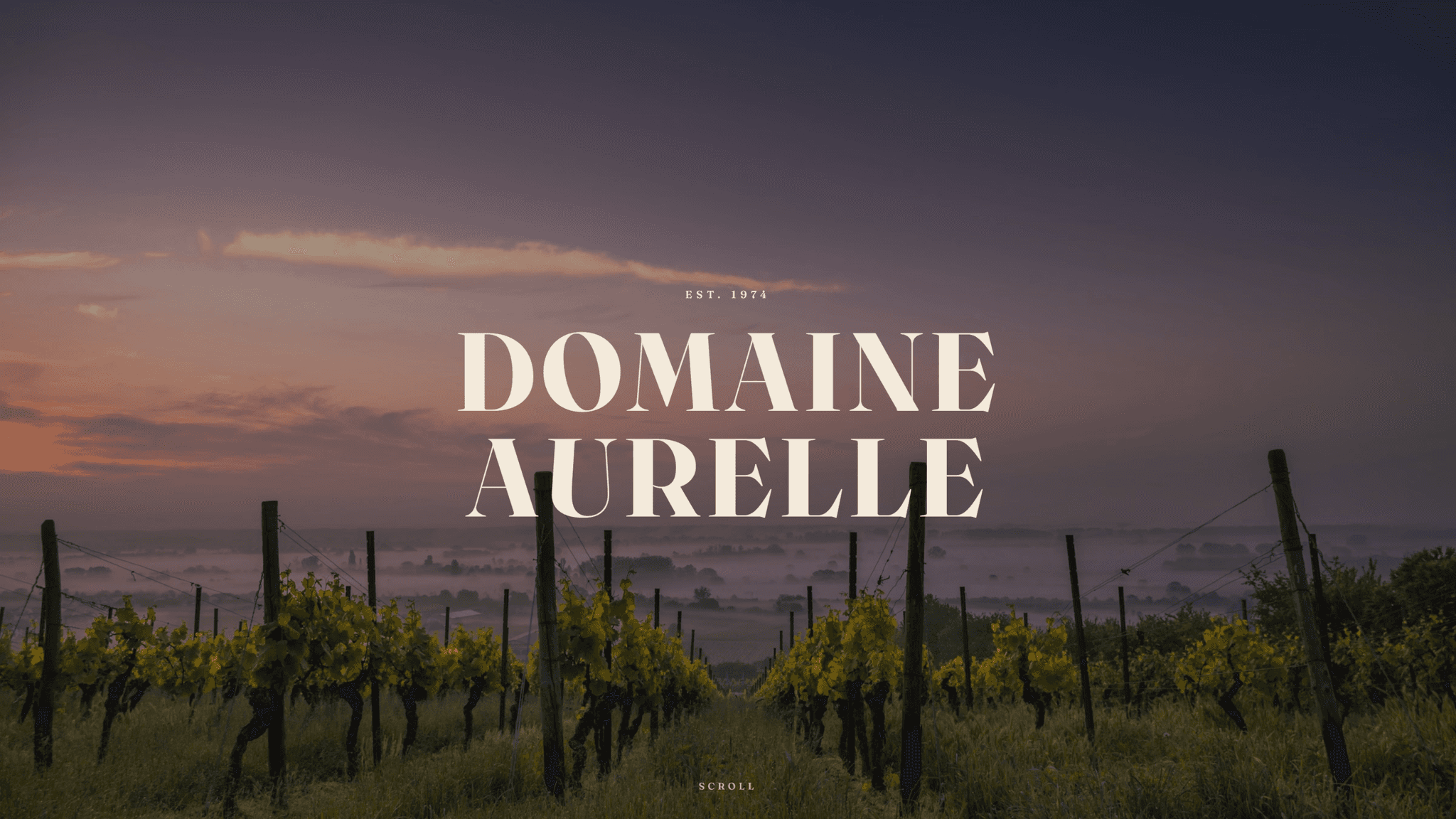 Vignoble