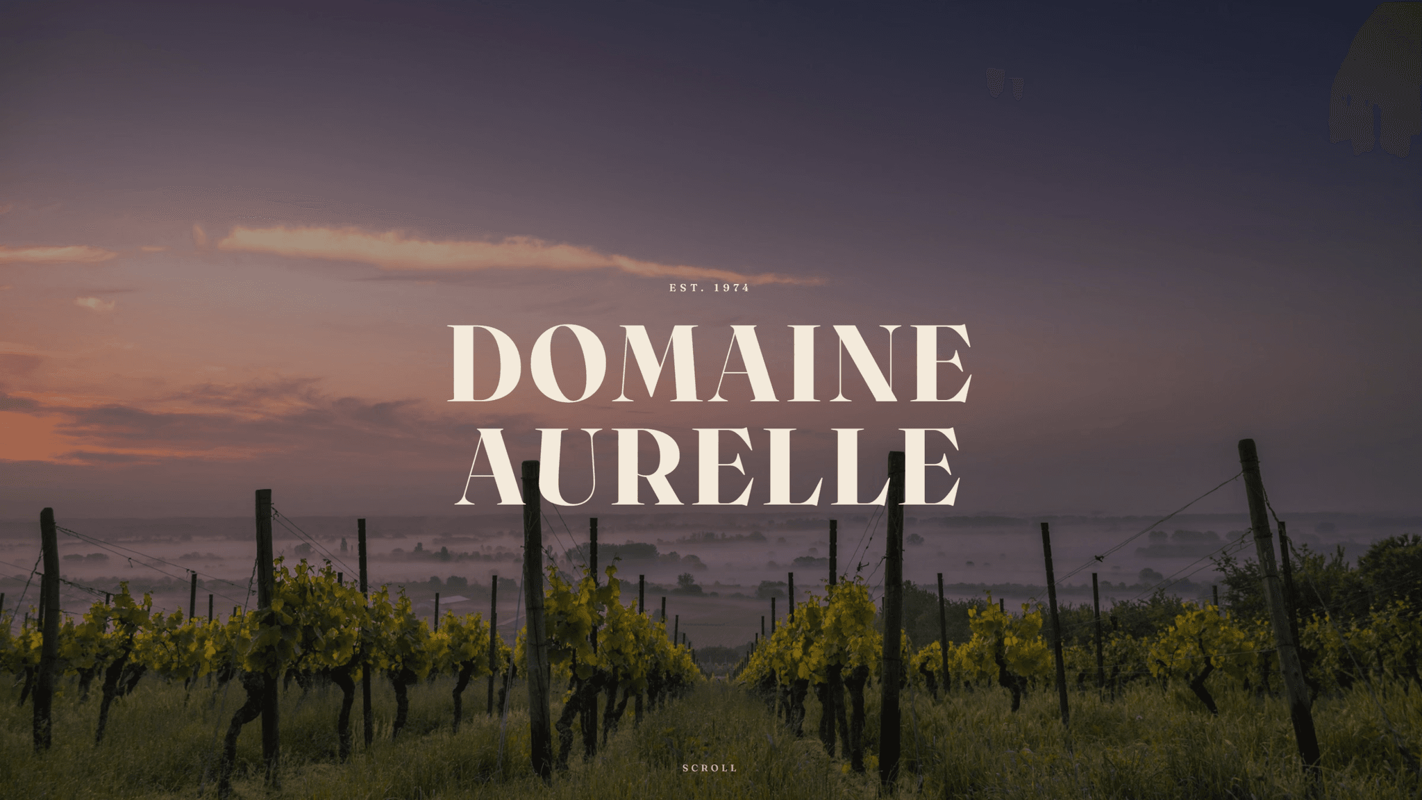Vignoble