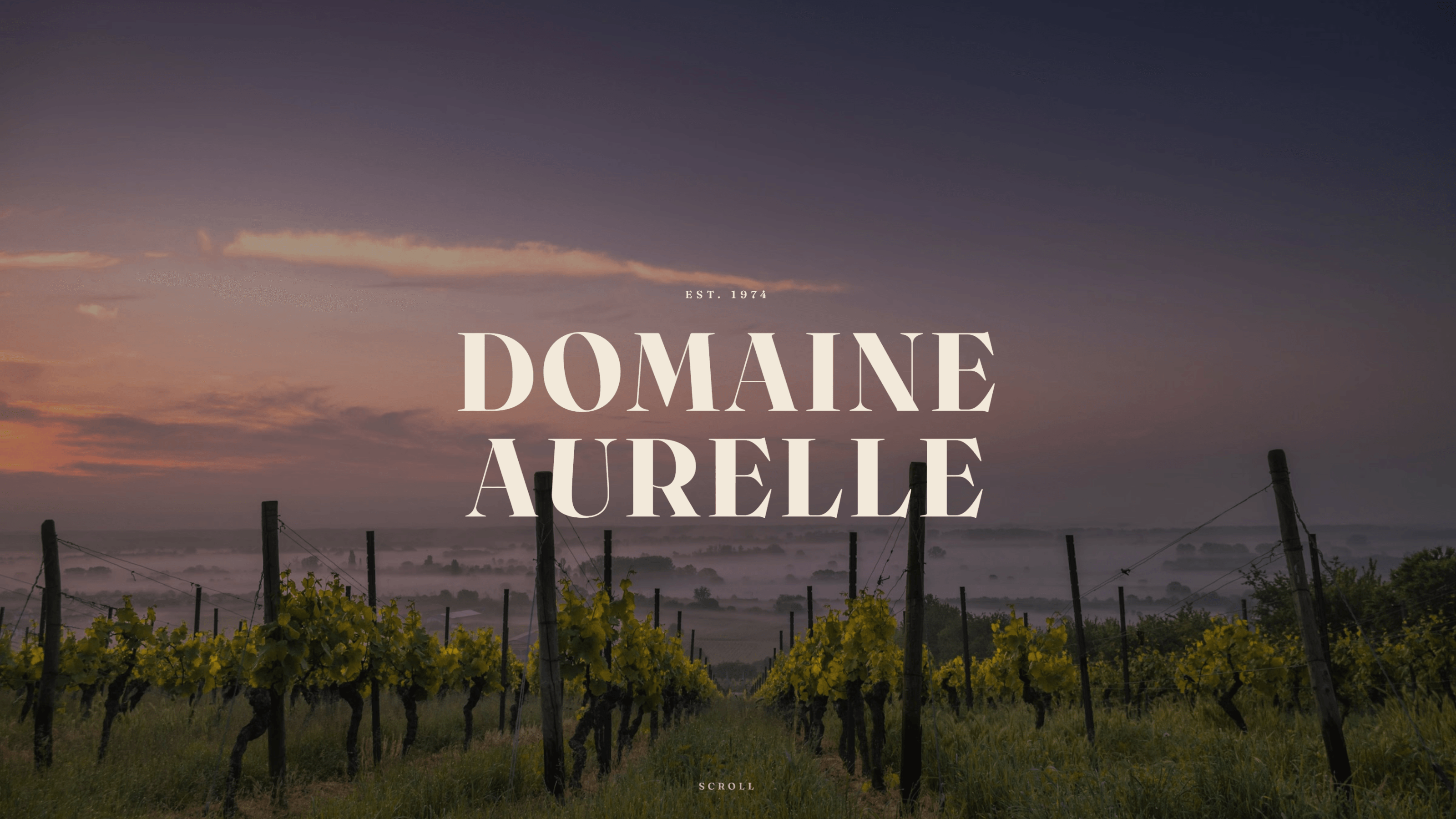Vignoble