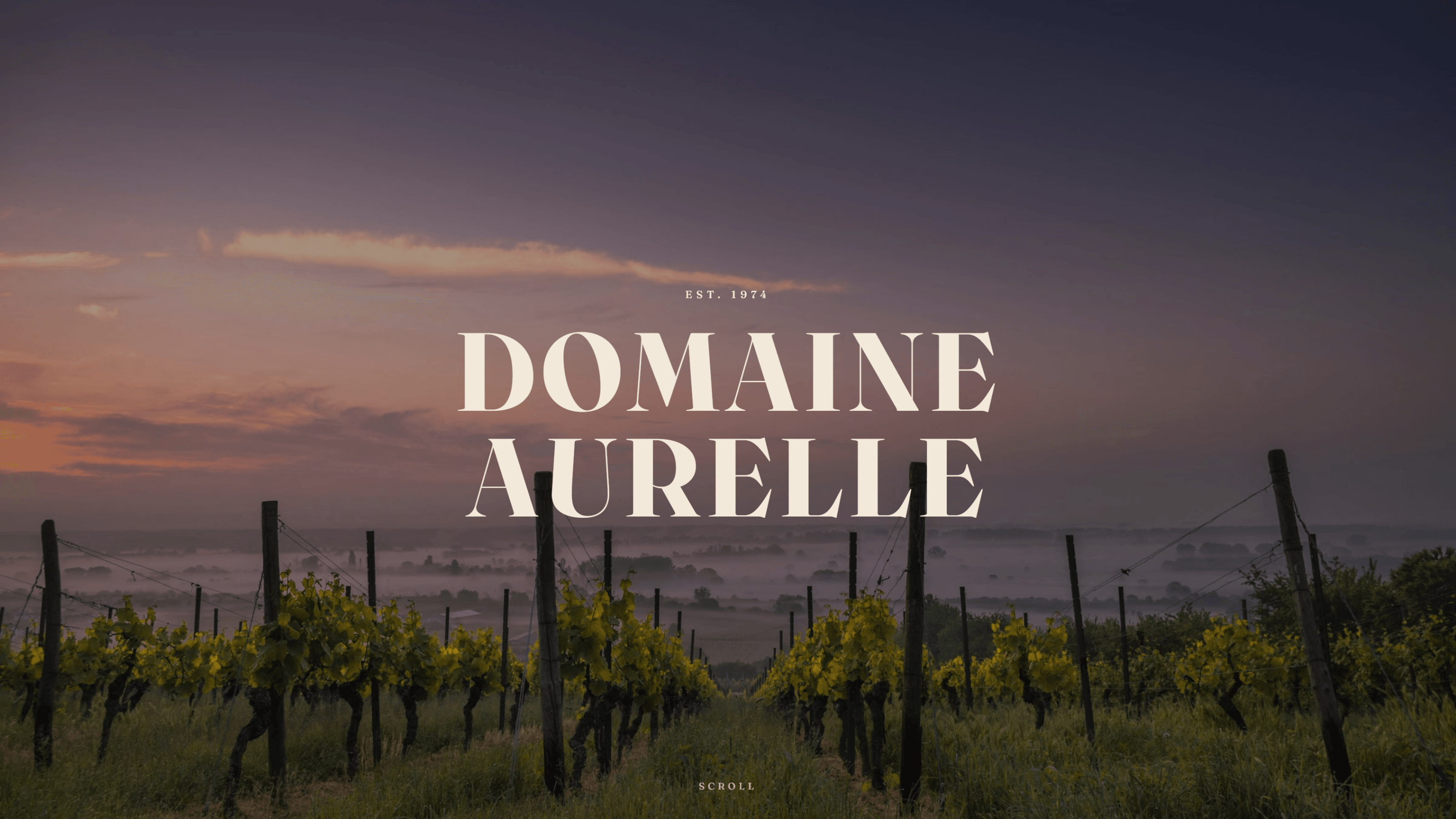 Vignoble