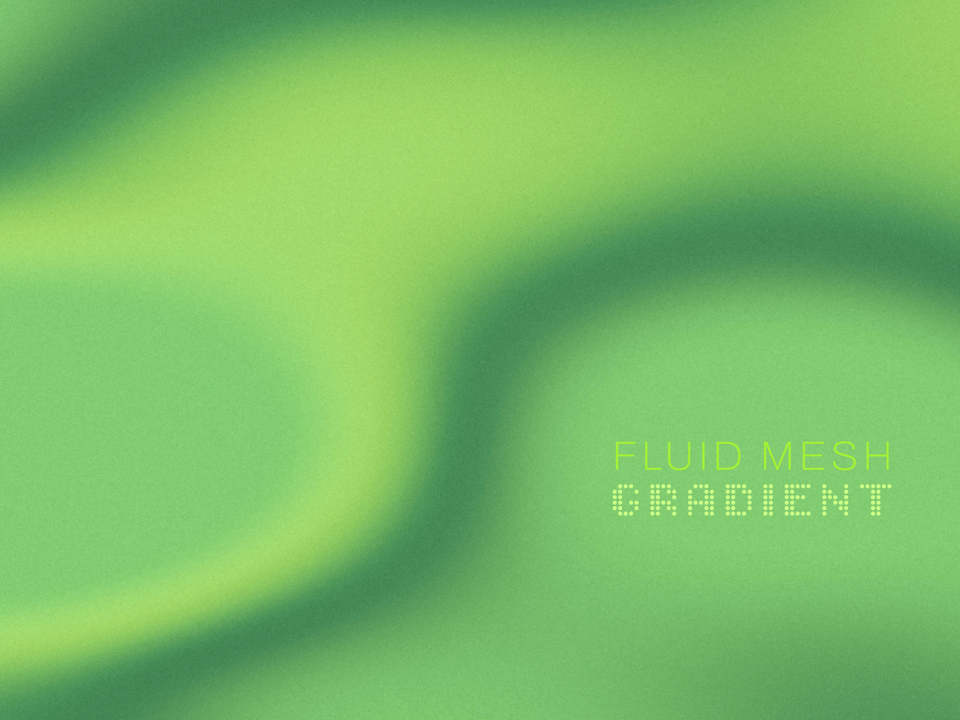 Fluid Mesh Gradient