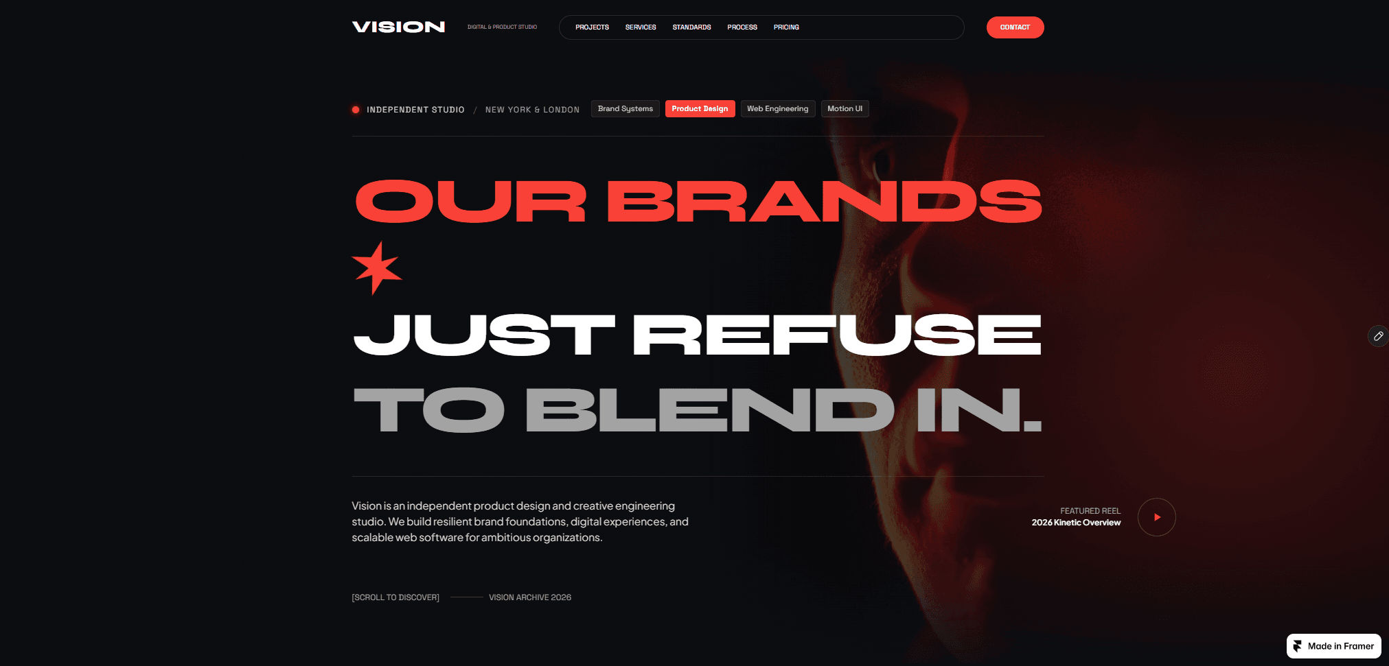 Vision — template