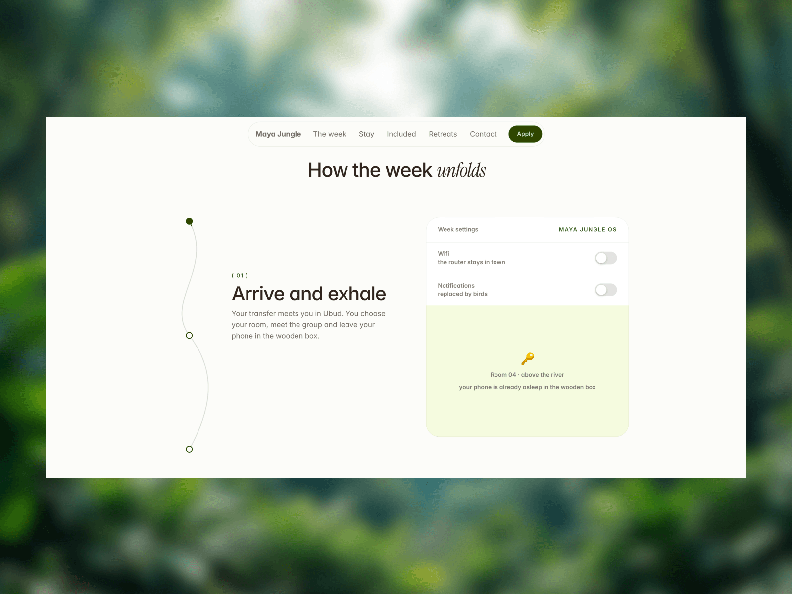 Maya Jungle