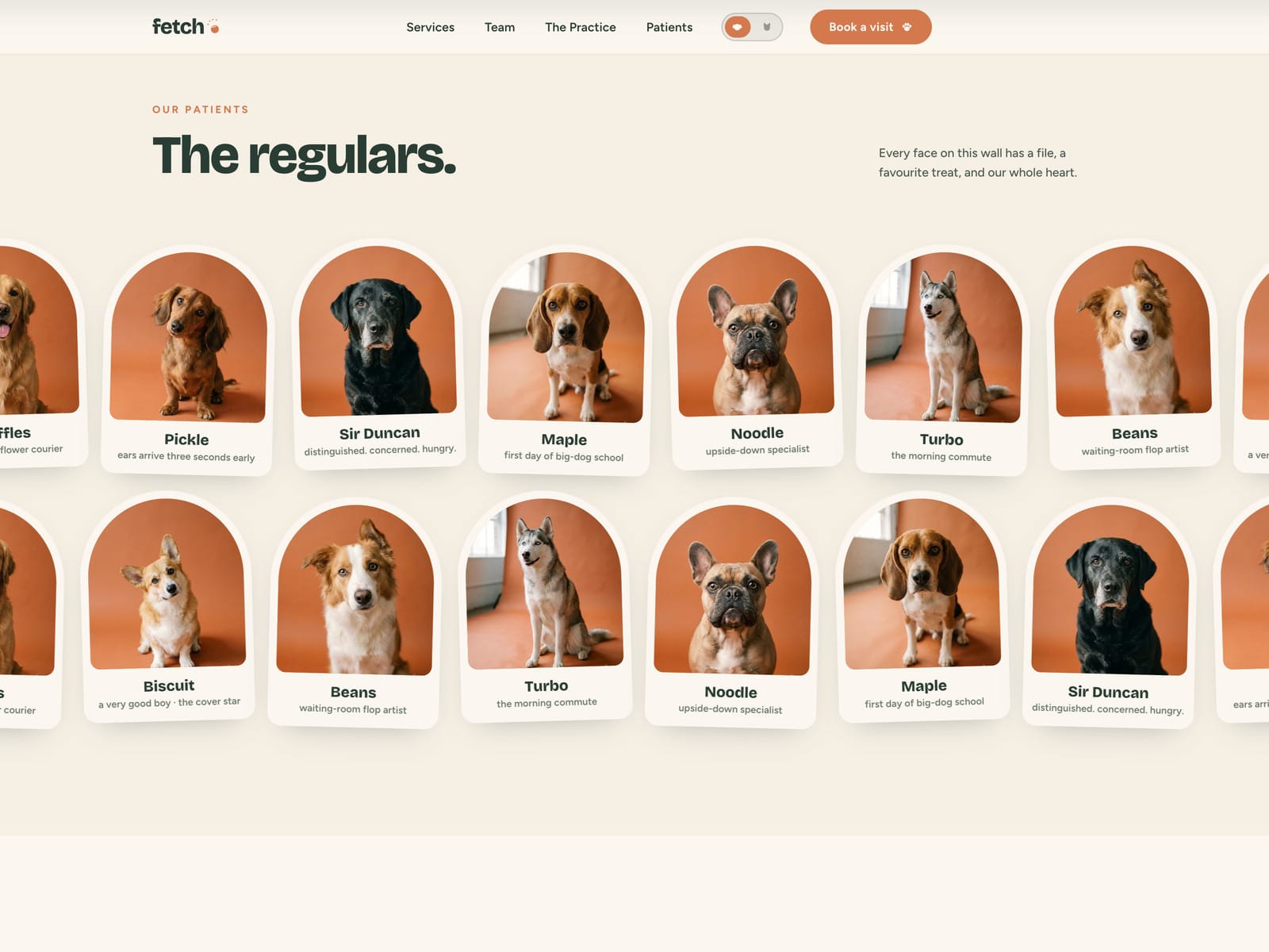 FETCH Vet Clinic