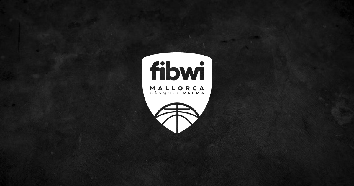 Fibwi Basket