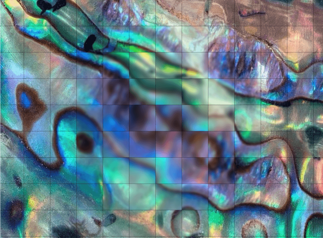 Mosaic Image