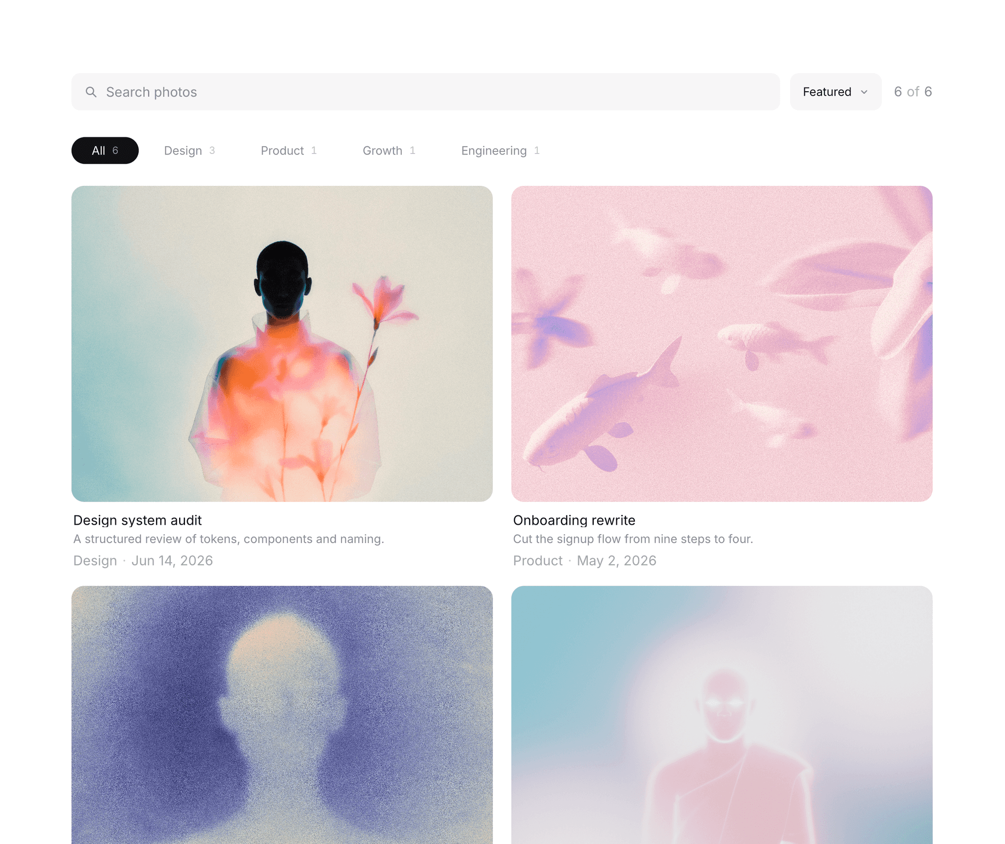 Gallery Filter
