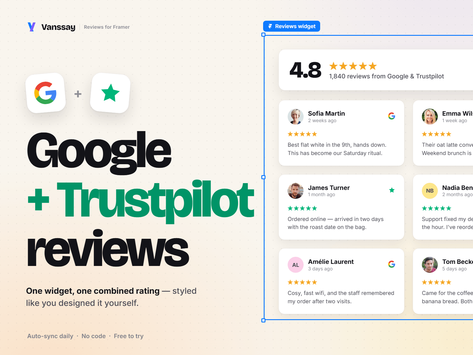 Google & Trustpilot Reviews - Vanssay