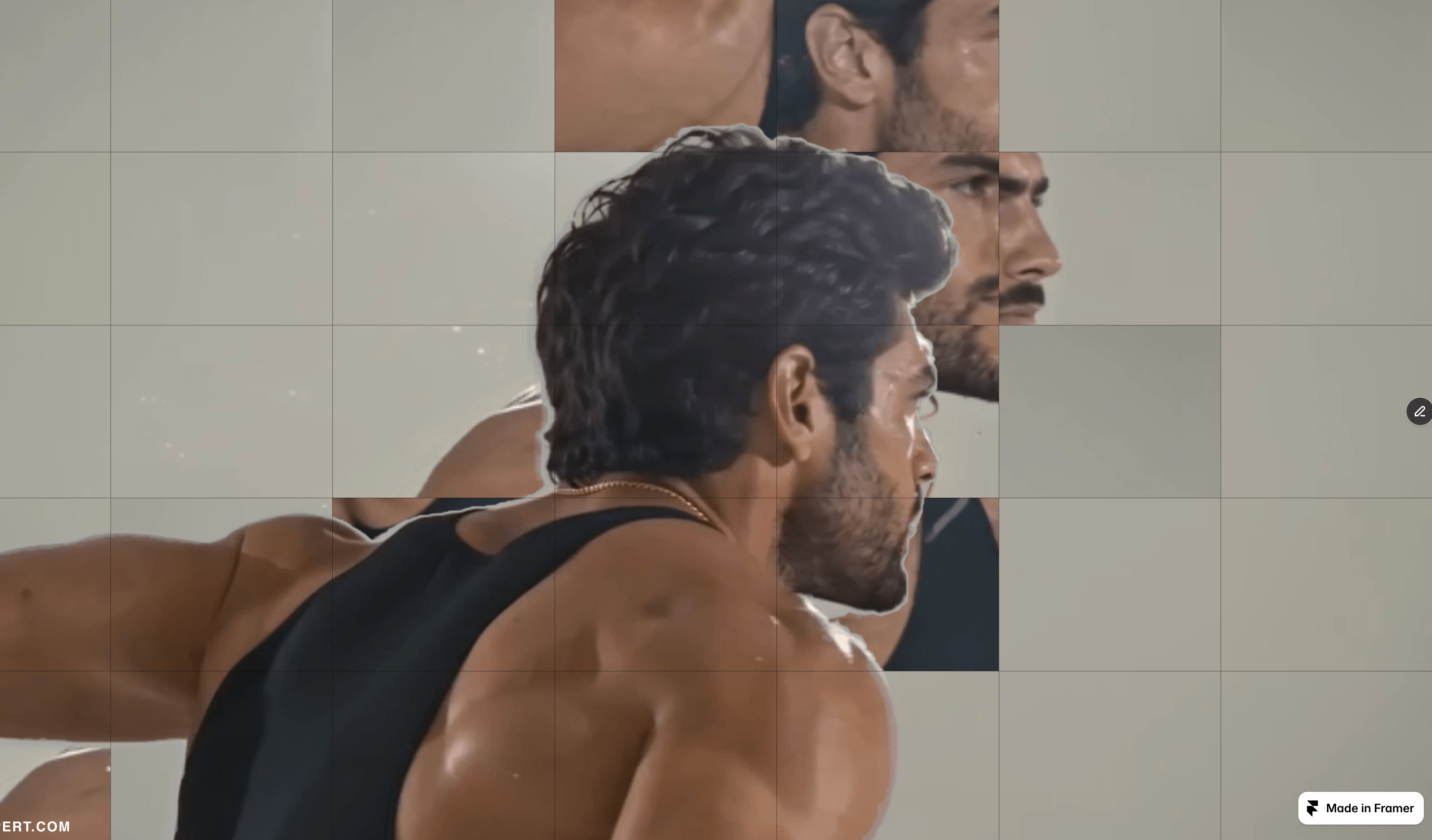 GridMosaic