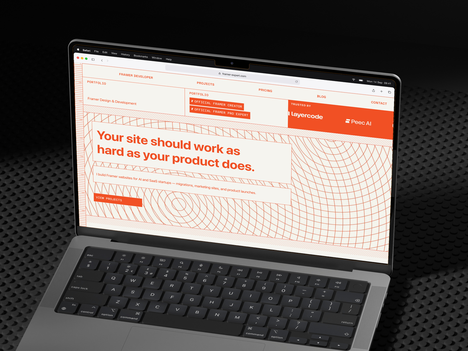 Pro Expert Portfolio