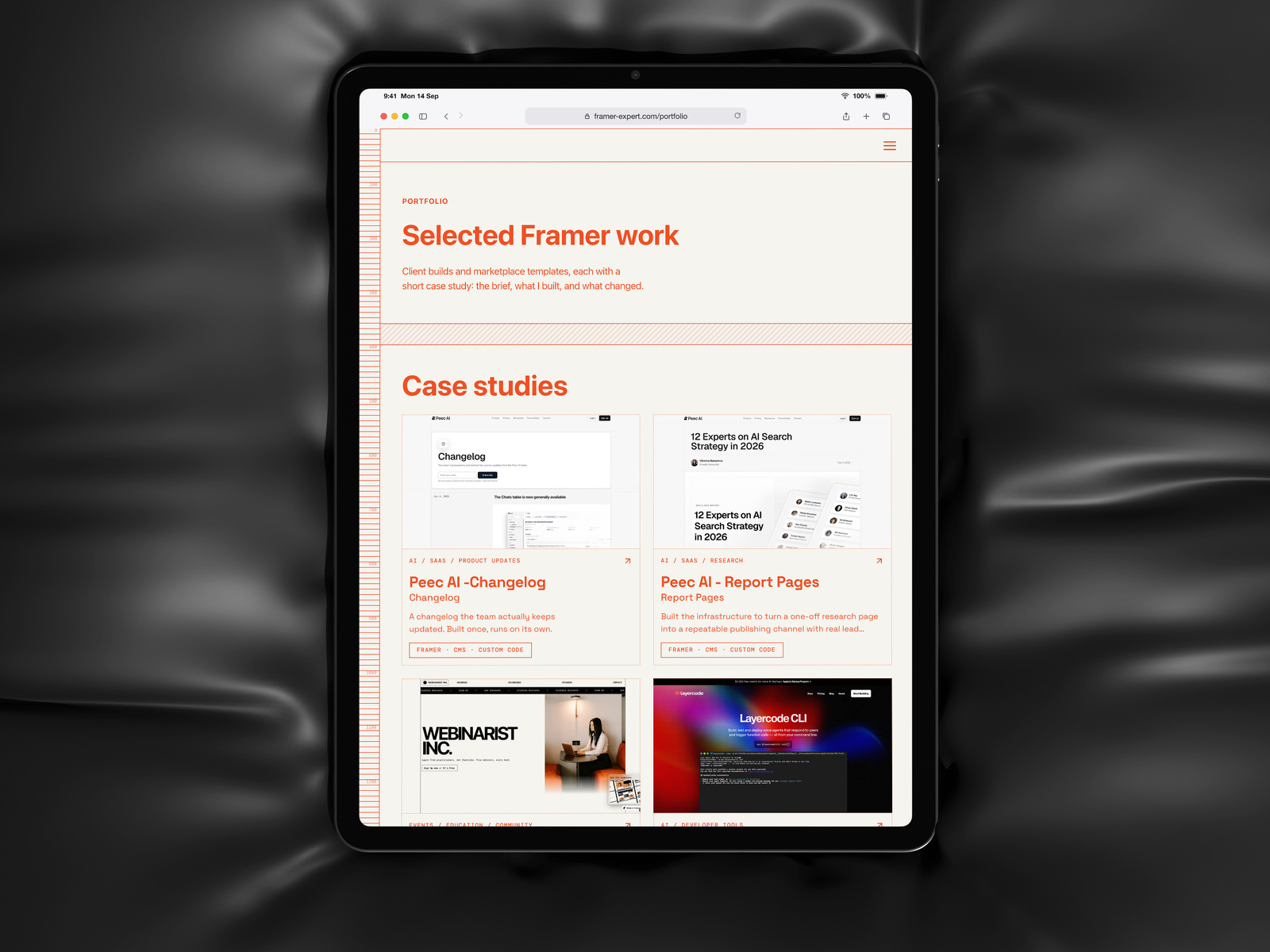 Pro Expert Portfolio