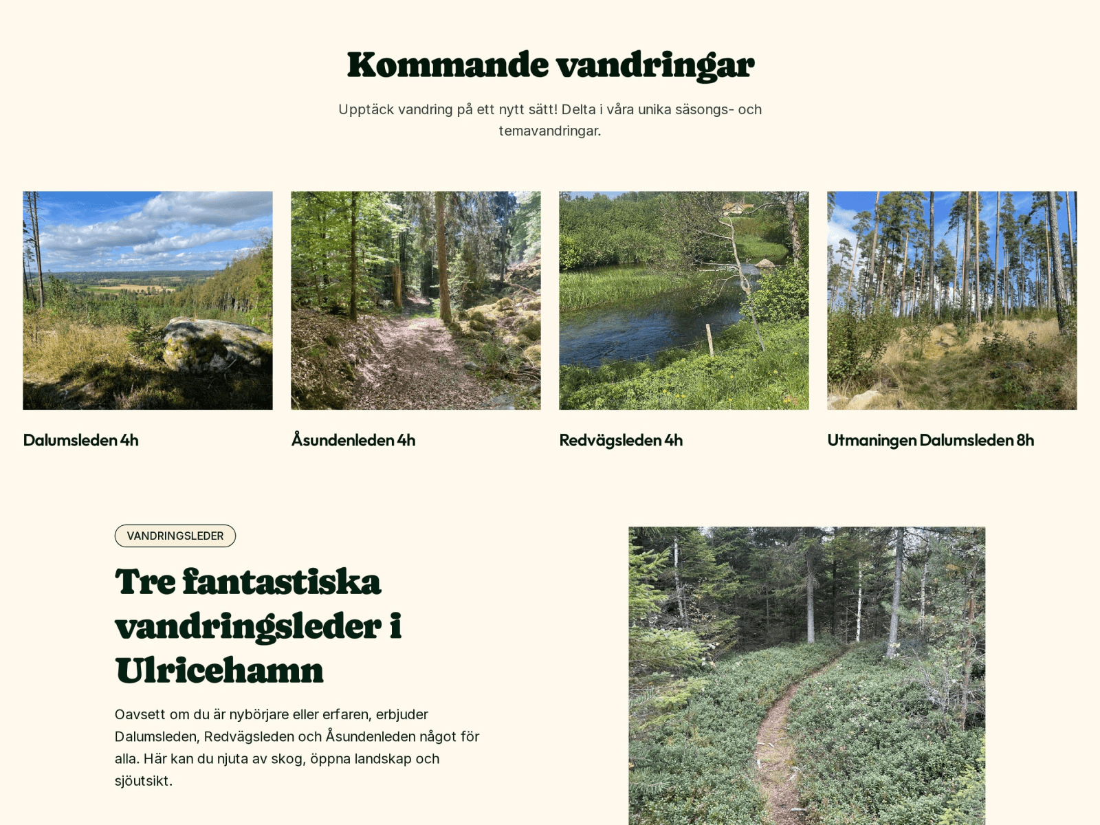 Vandringsupplevelser