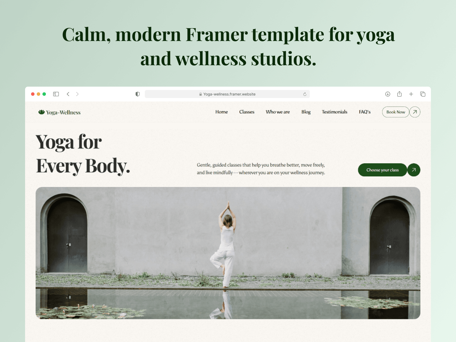Yoga Wellness