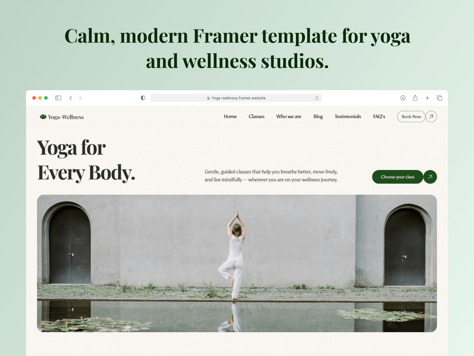 Yoga Wellness