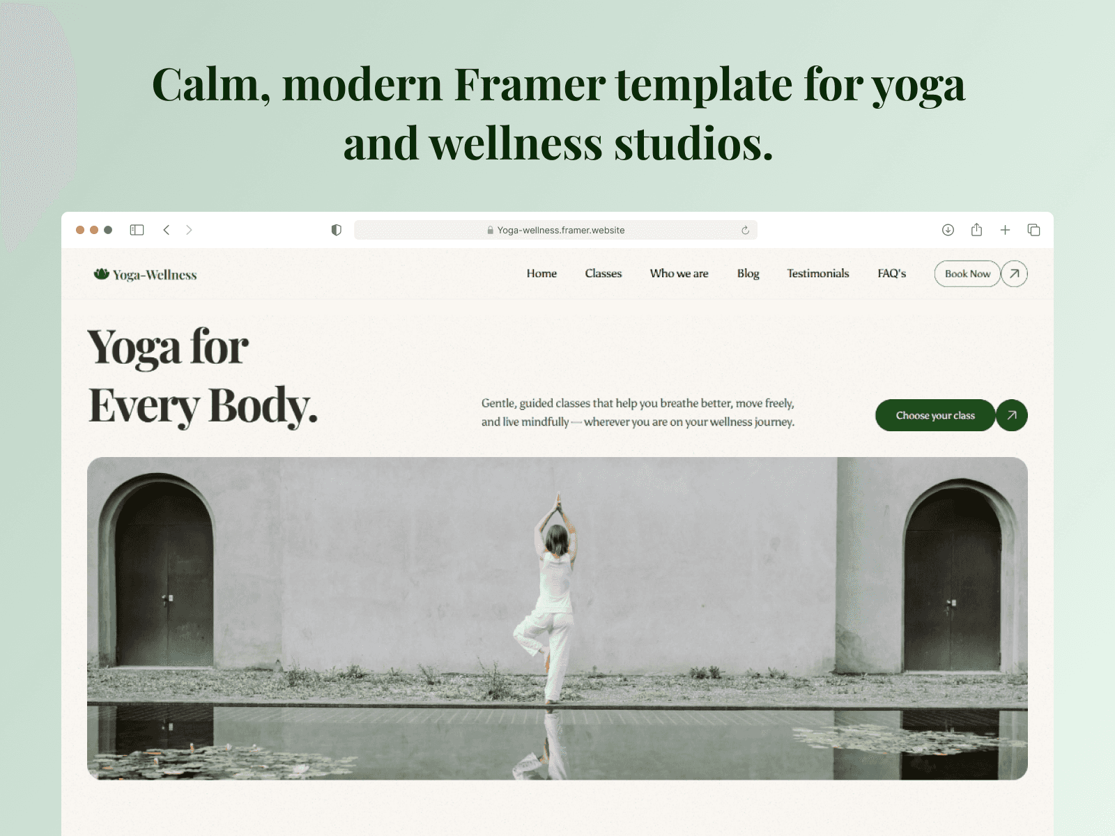 Yoga Wellness