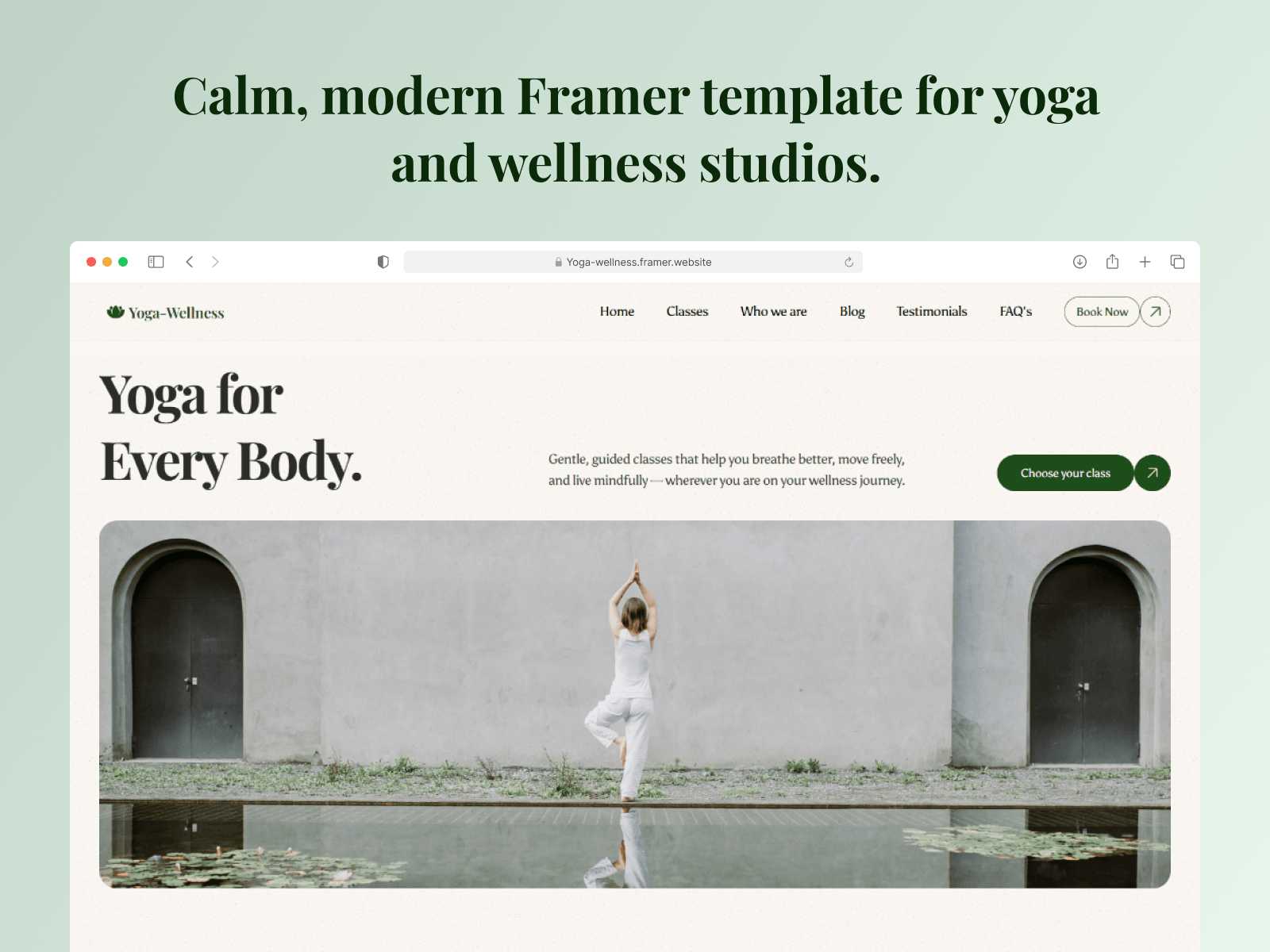 Yoga Wellness