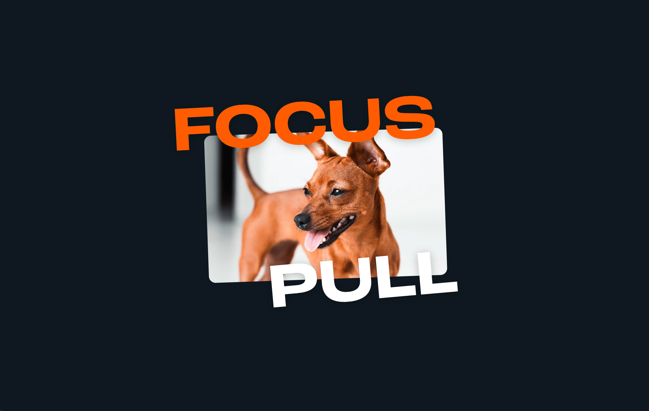Focus Pull