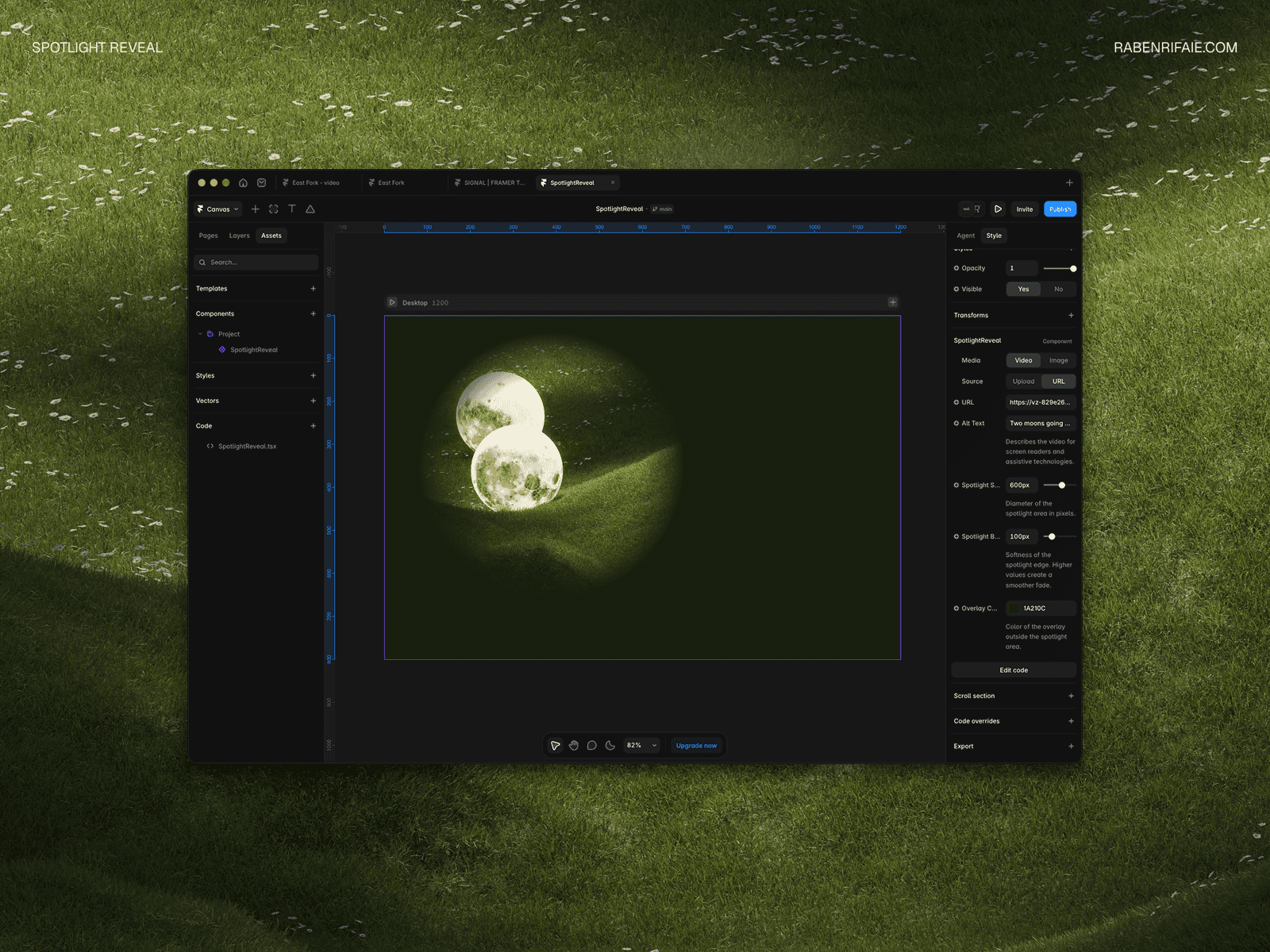 SpotlightReveal