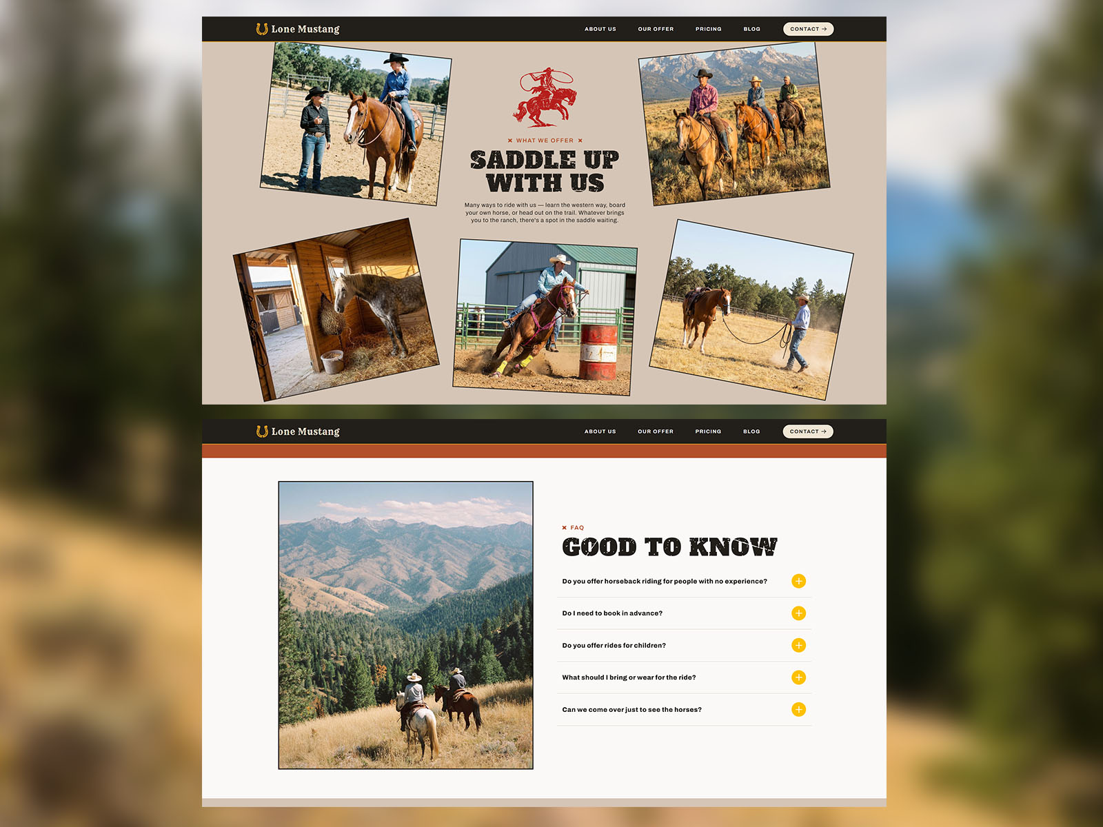 Lone Mustang Ranch