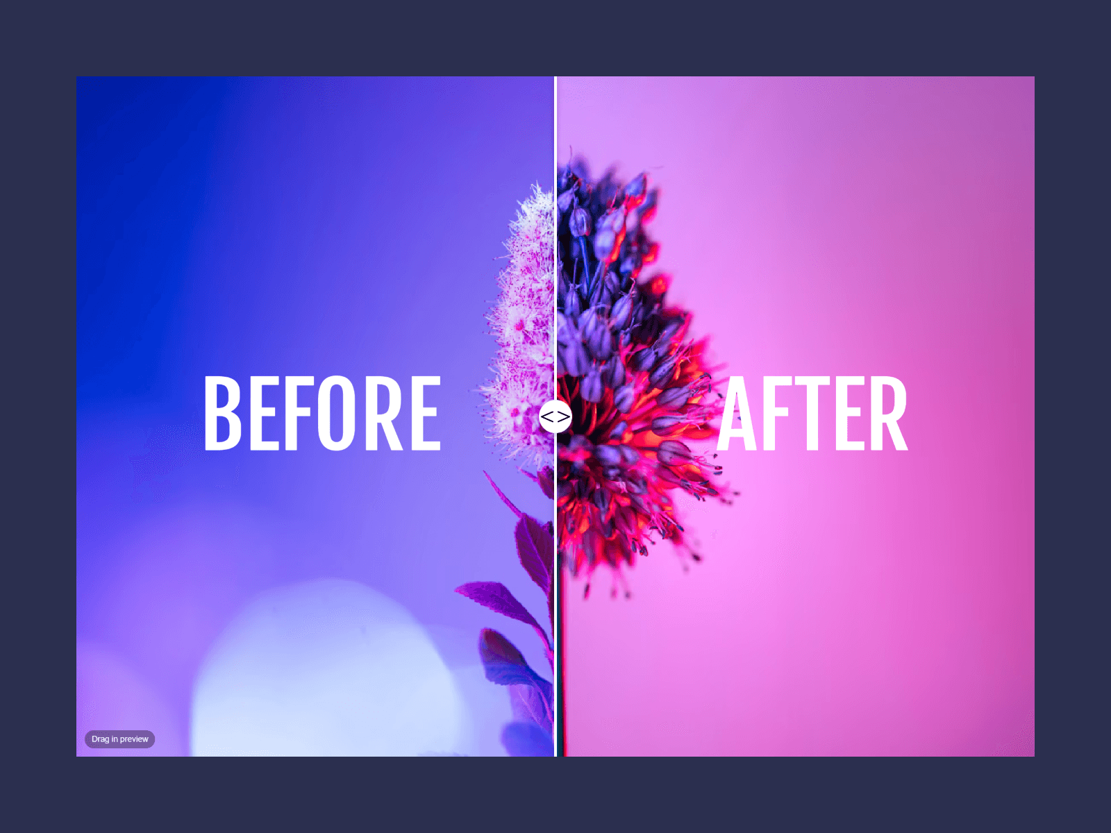Interactive Slider