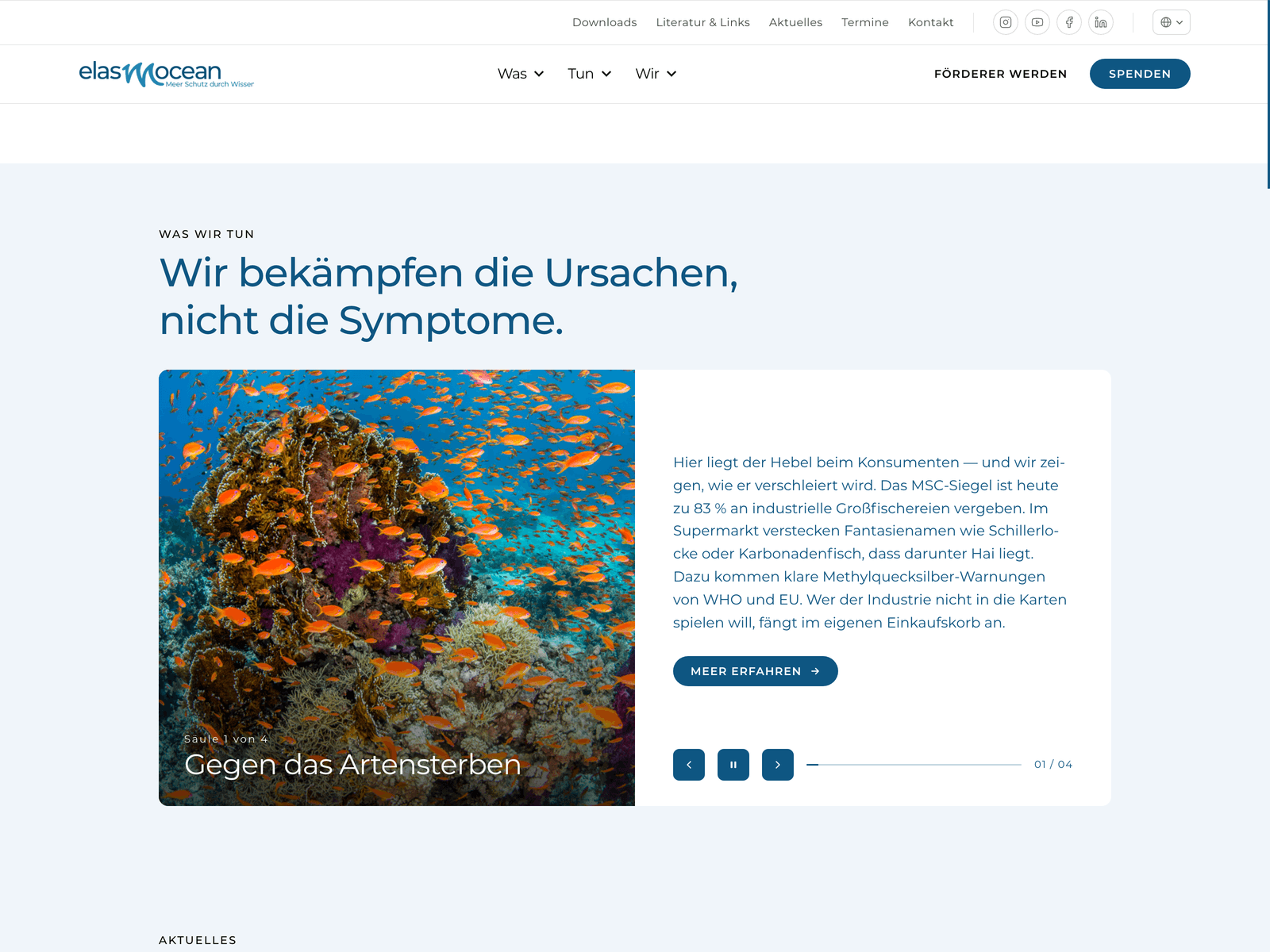 ElasmOcean