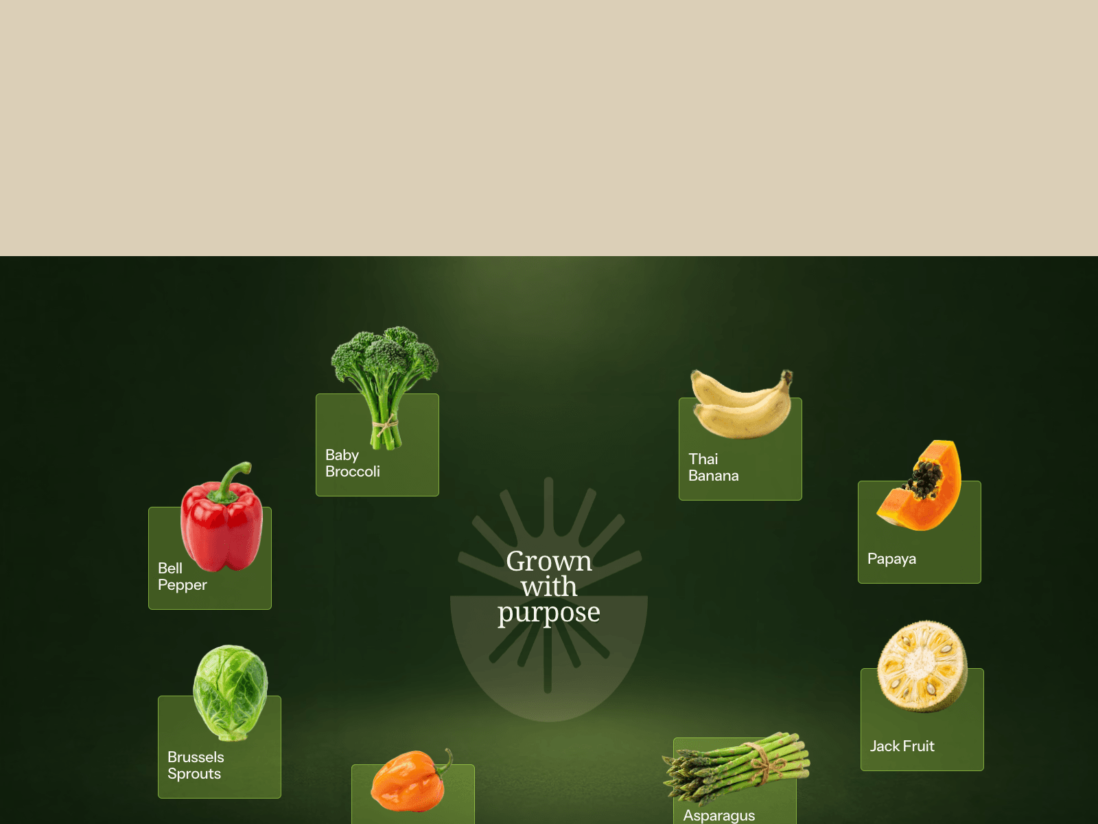 Plein Produce