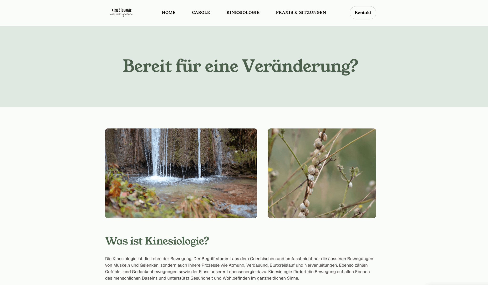 Kinesiologie Carole
