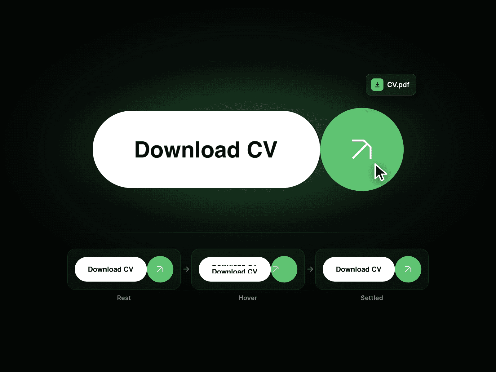 CV Download Button