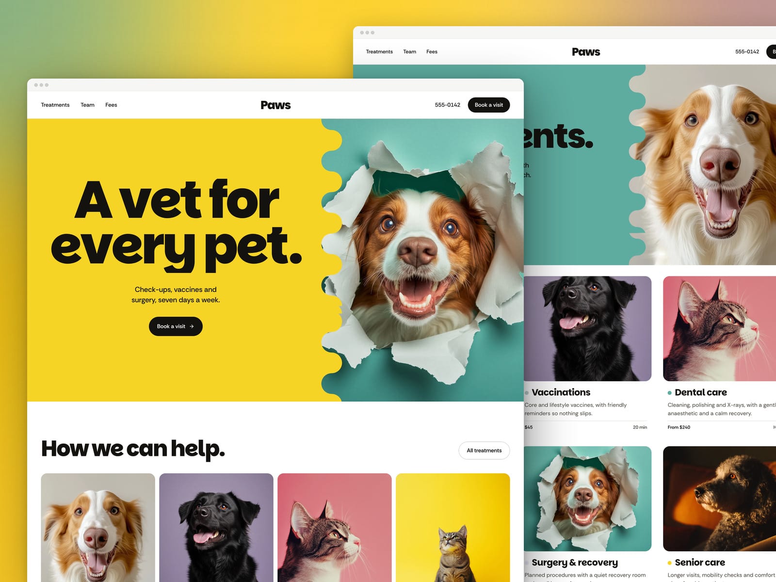 Paws Clinic