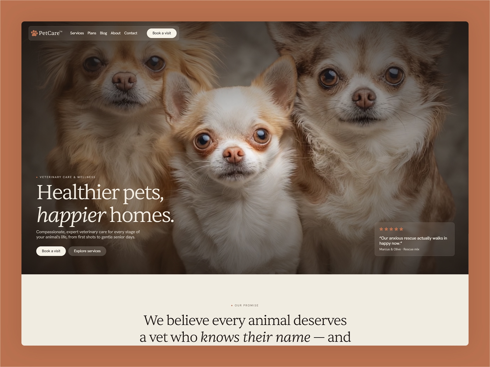 Pet Care