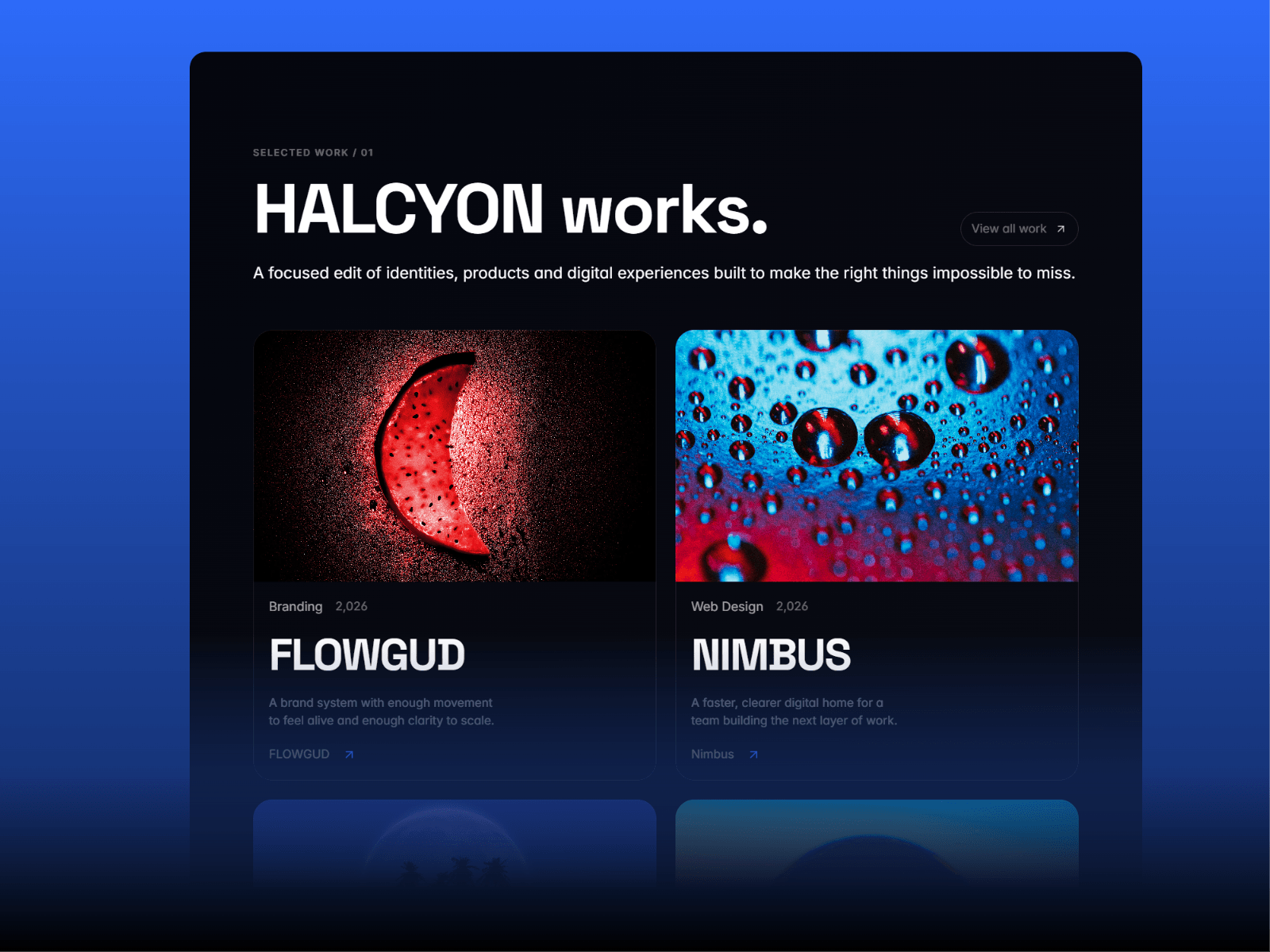 Halcyon X