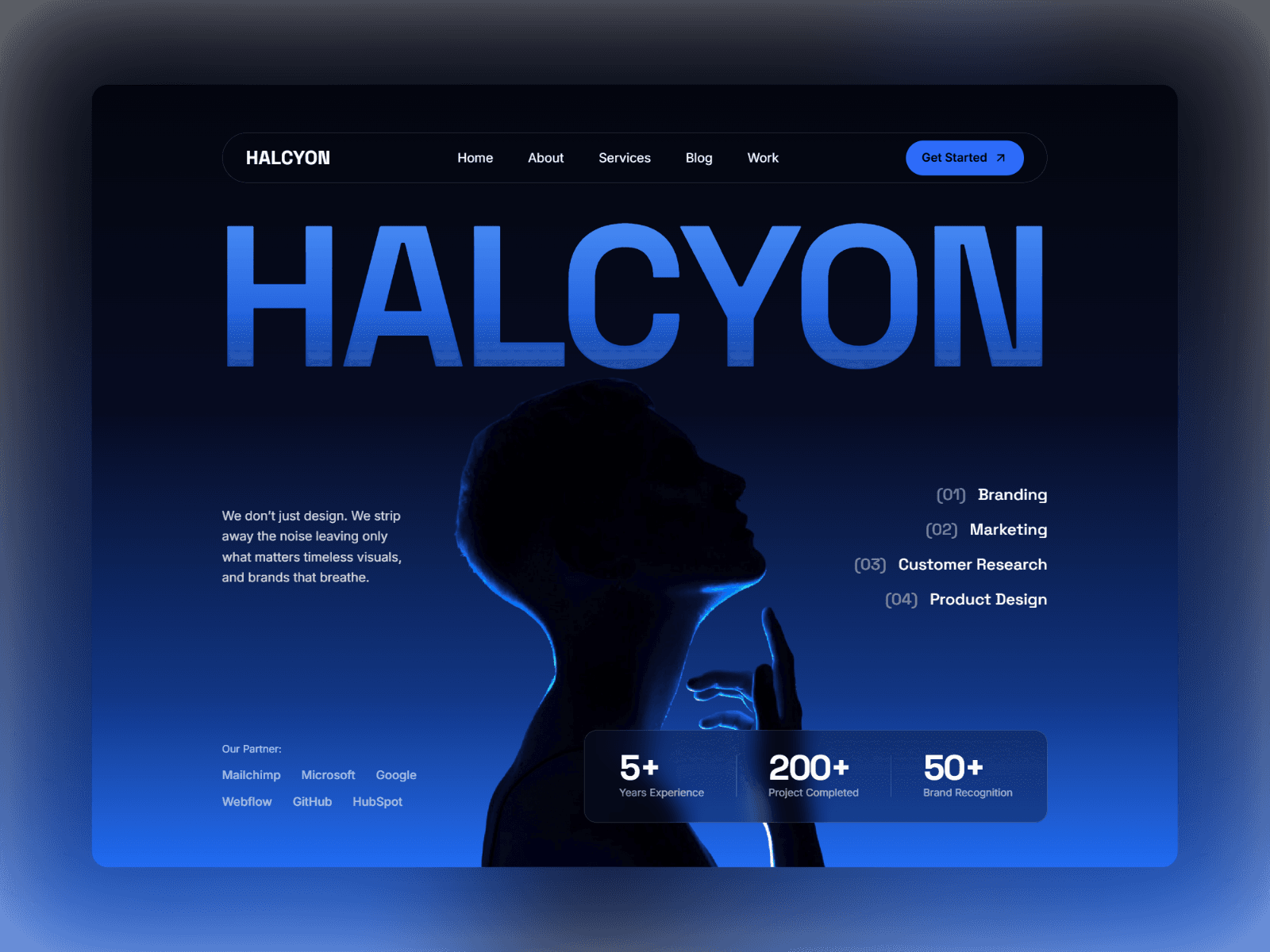 Halcyon X
