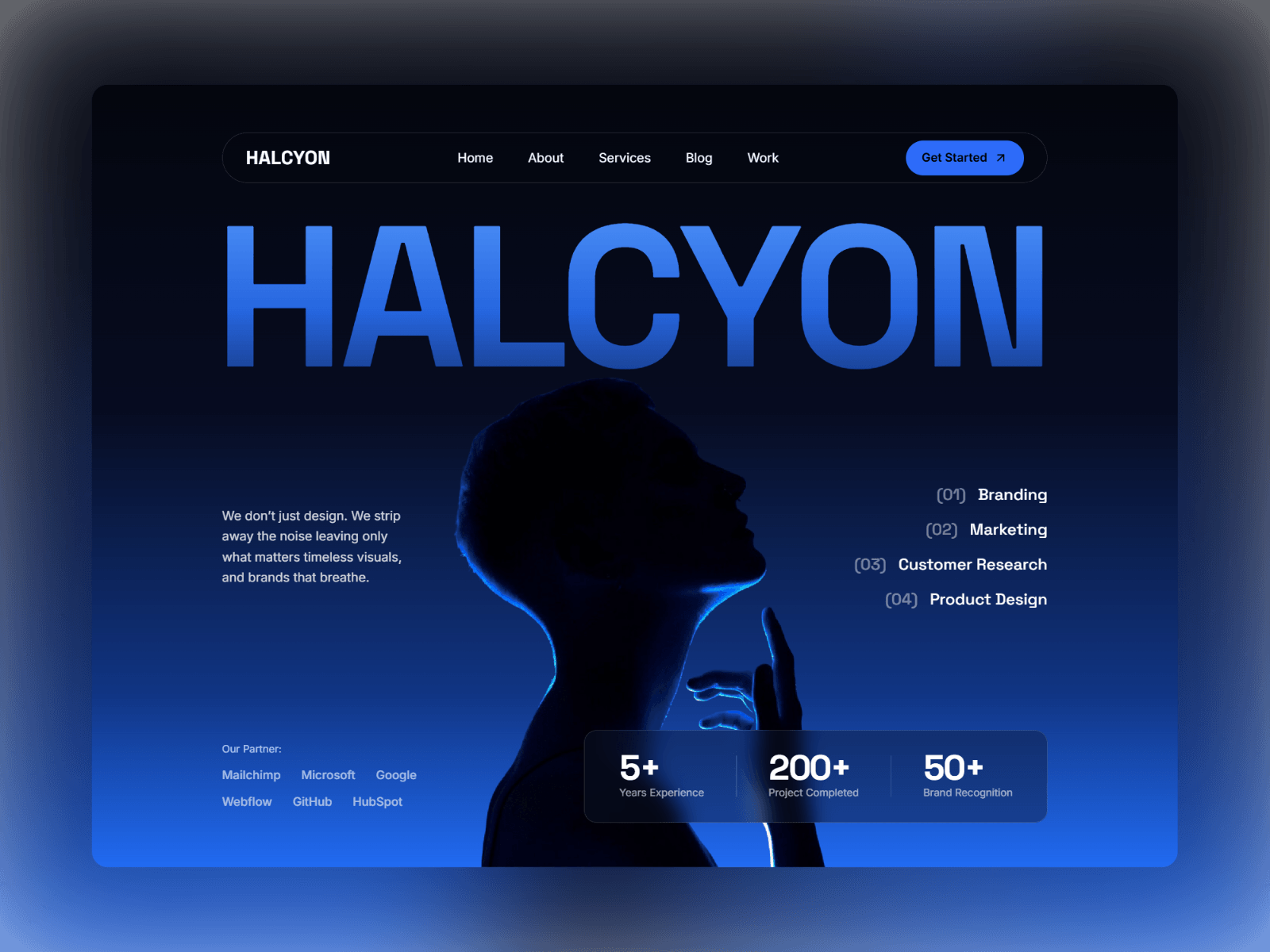 Halcyon X