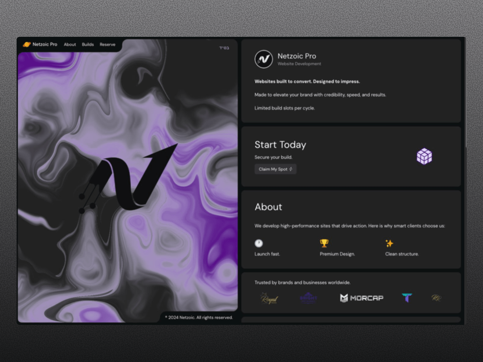 Netzoic Pro